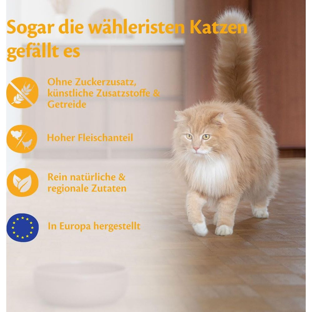 Eine flauschige orange Katze läuft auf einem Holzboden zu einem verschwommenen Napf, mit Text links.