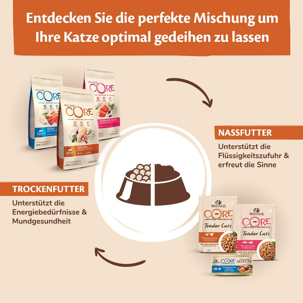 Vergleich von Wellness CORE Katzen-Trockenfutter und Nassfutter für eine optimale Ernährung.
