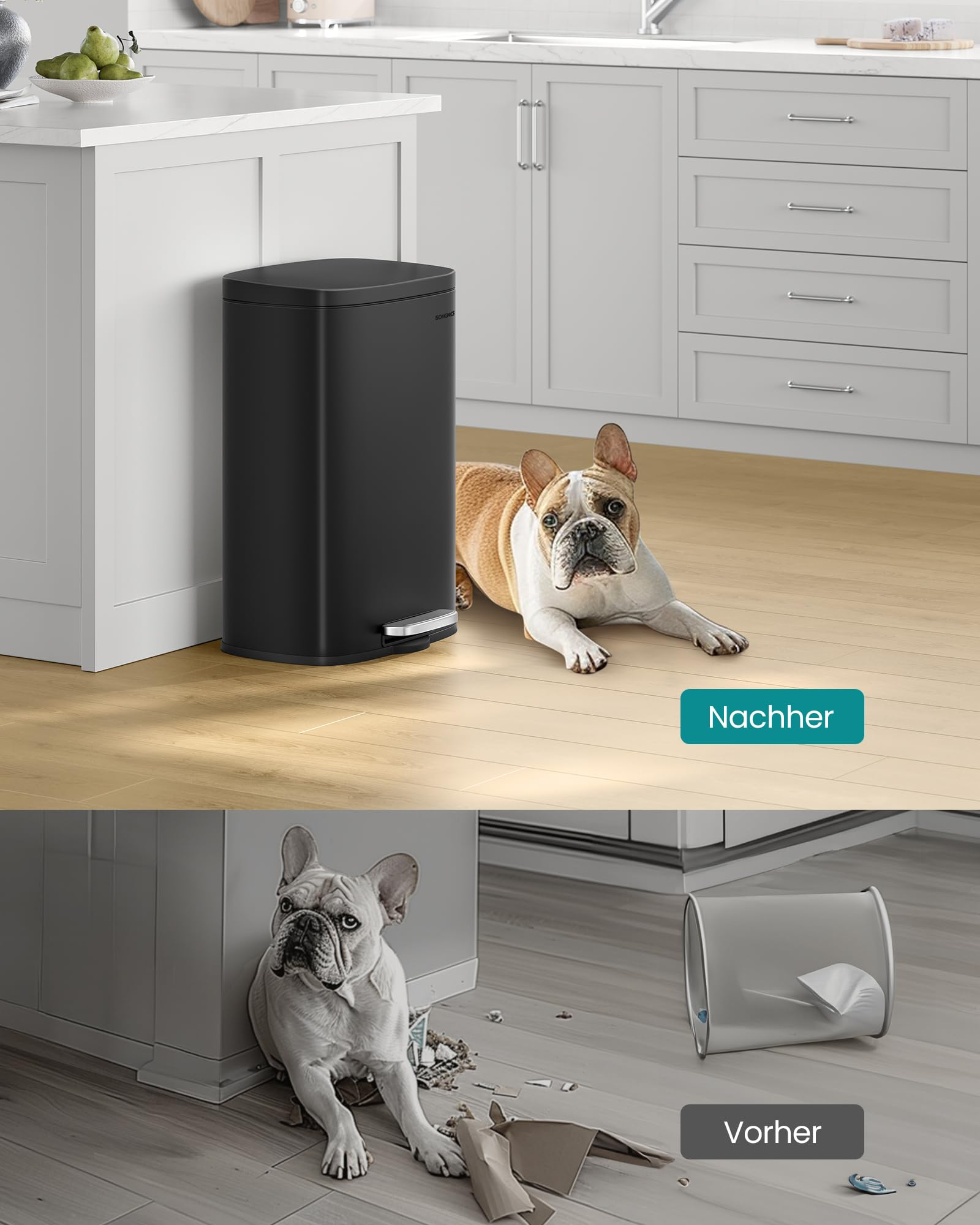 Vorher-Nachher-Vergleich mit Französischer Bulldogge neben neuem schwarzem Mülleimer und umgeworfenem alten Eimer.