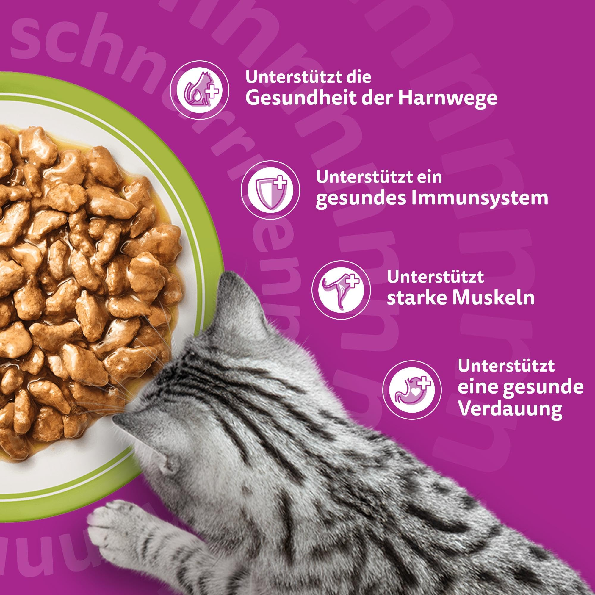 Eine graue Katze frisst Nassfutter aus einer grünen Schüssel vor purpurnem Hintergrund mit deutschen Texten.