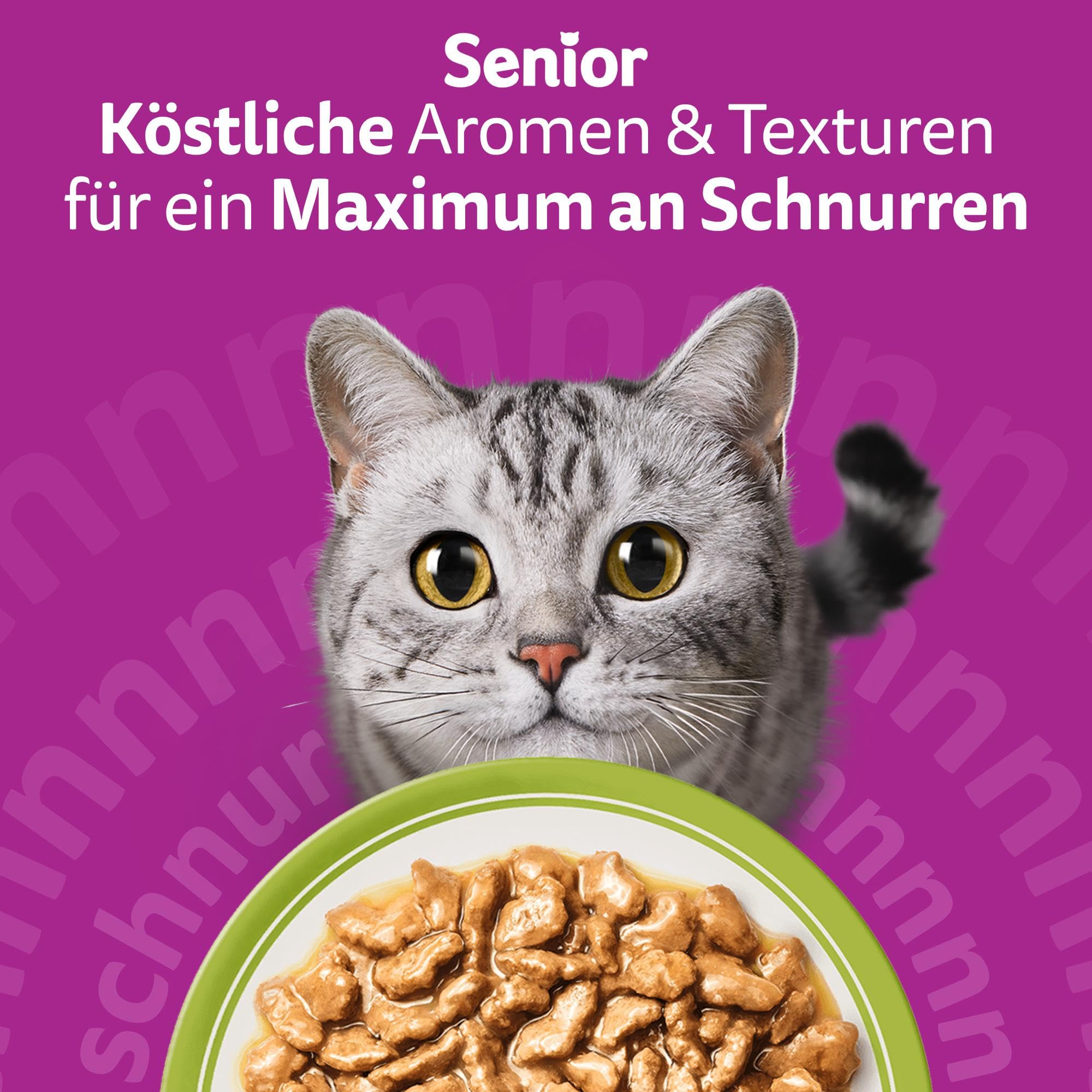 Eine graue Katze schaut hinter eine grüne Schüssel mit Katzenfutter hervor, vor einem pinken Hintergrund mit Text.