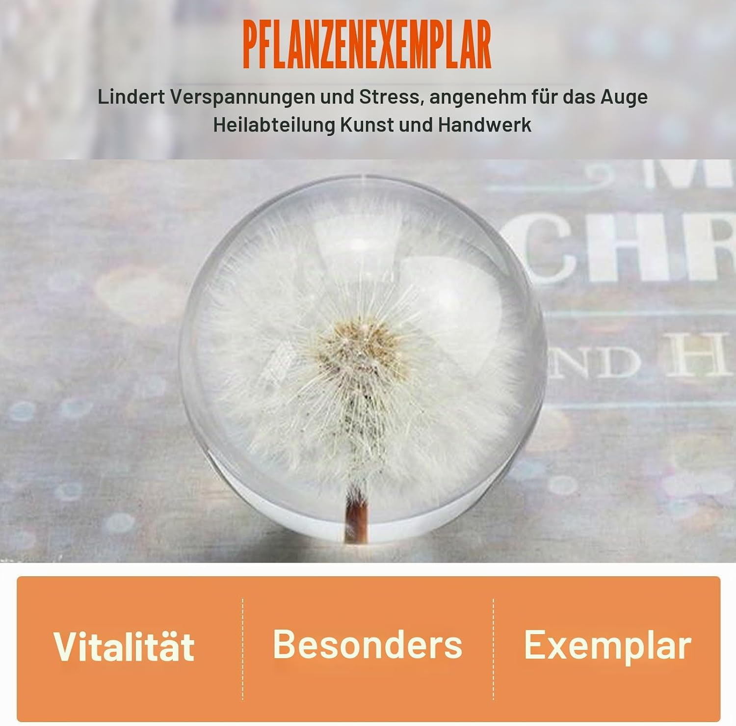Eine Glaskugel mit einem Löwenzahn im Inneren, eingerahmt von deutschem Werbetext.
