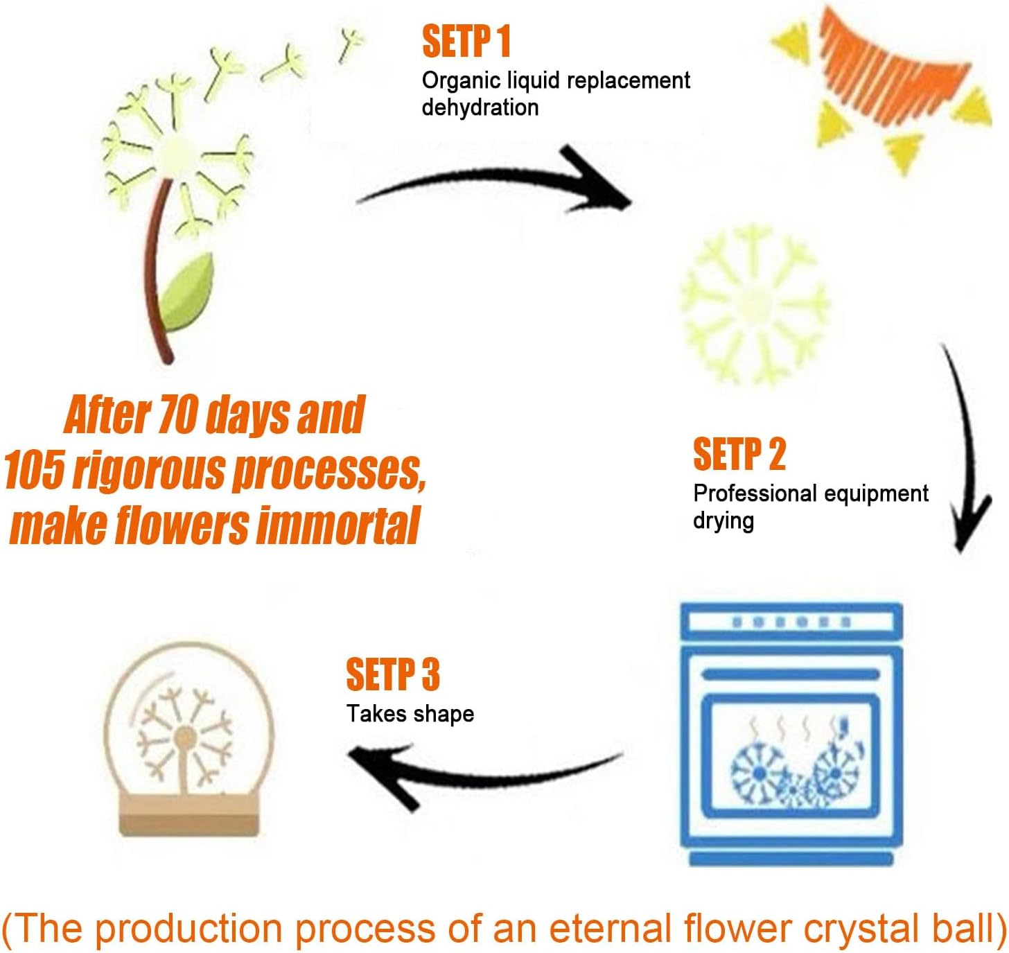 Ein Diagramm zeigt den dreistufigen Produktionsprozess einer ewigen Blumen-Kristallkugel.