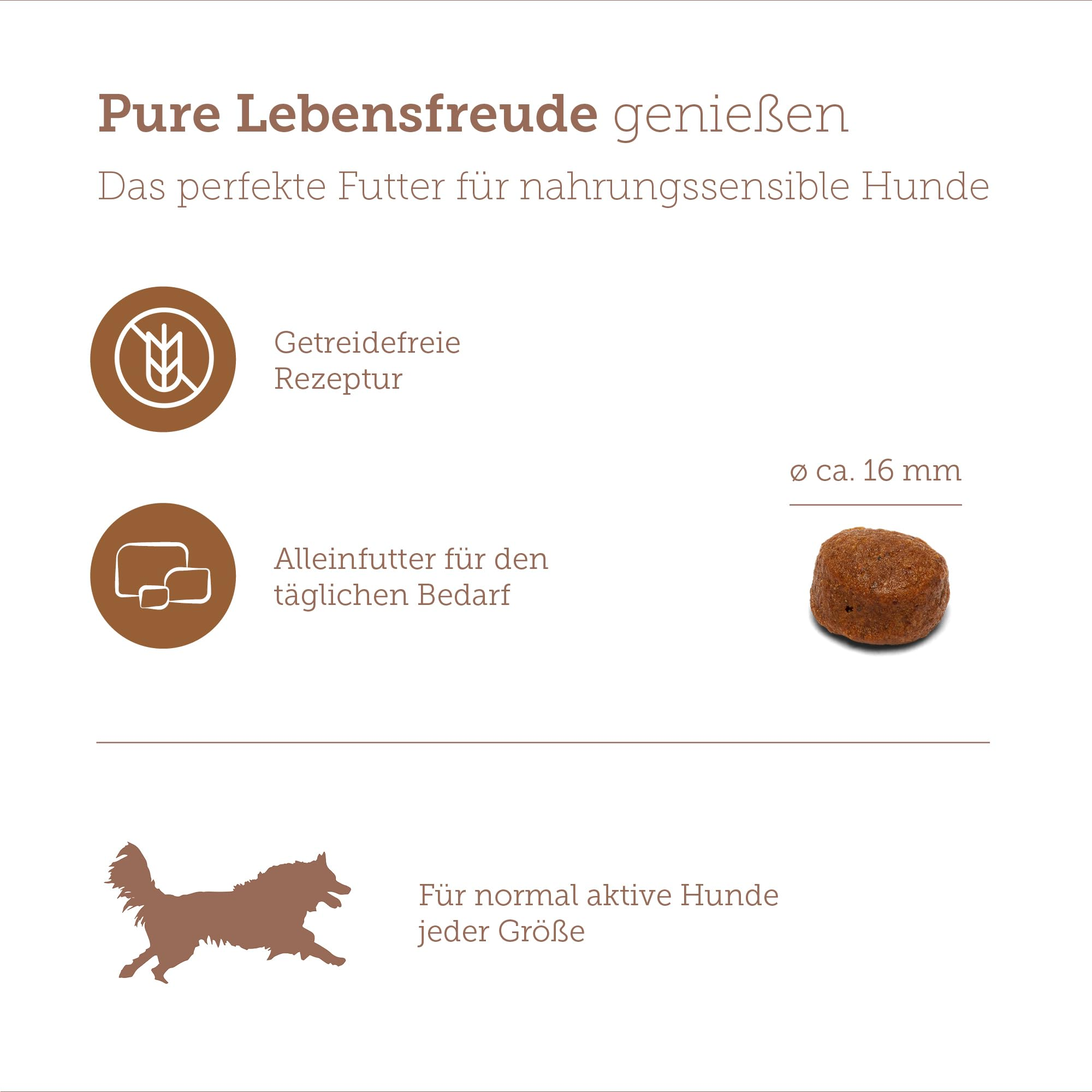 Infografik für getreidefreies Hundeutter mit Trockenfutterstück und Hundesilhouette.