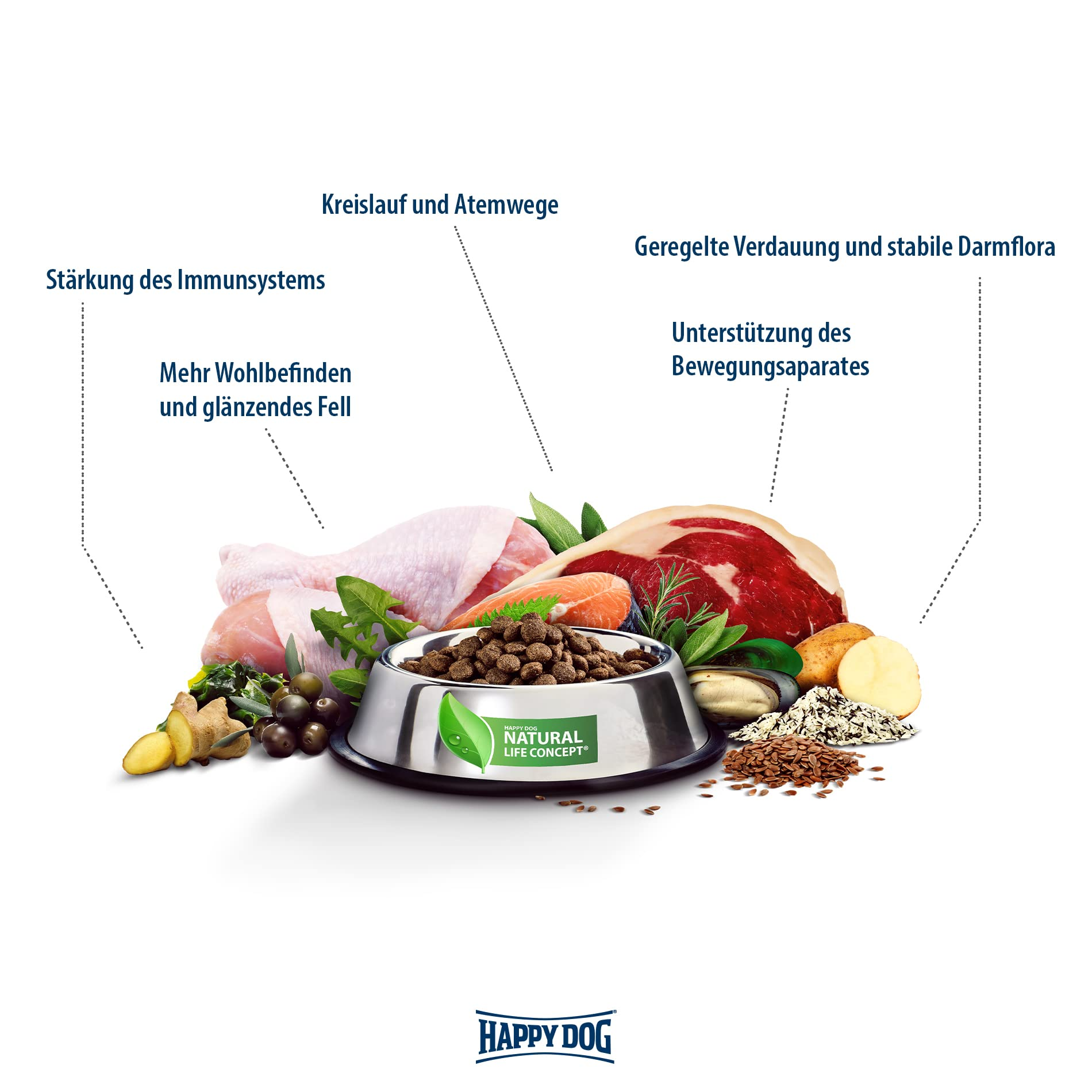 Napf mit Trockenfutter umgeben von frischen Zutaten wie Fleisch, Fisch, Kräutern und Gemüse mit Gesundheitsvorteilen.