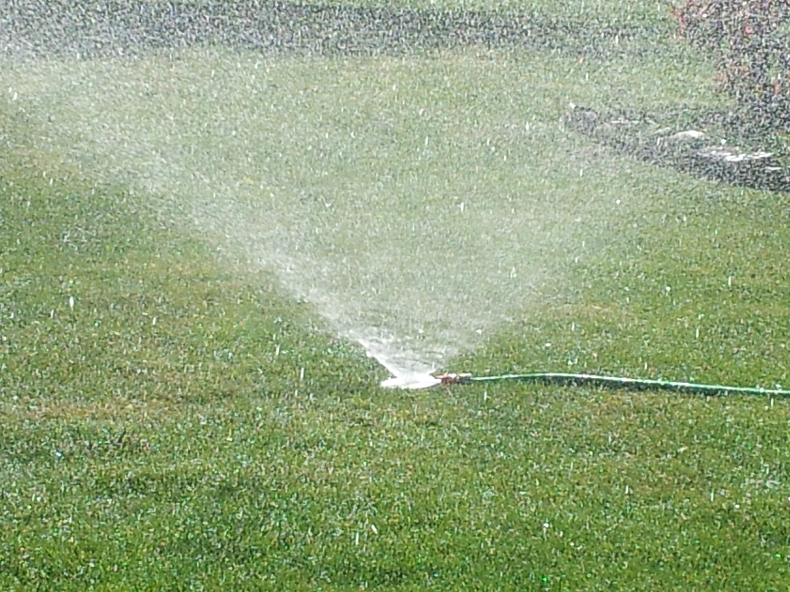 Ein Rasensprenger sprüht Wasser auf einen grünen Rasen.