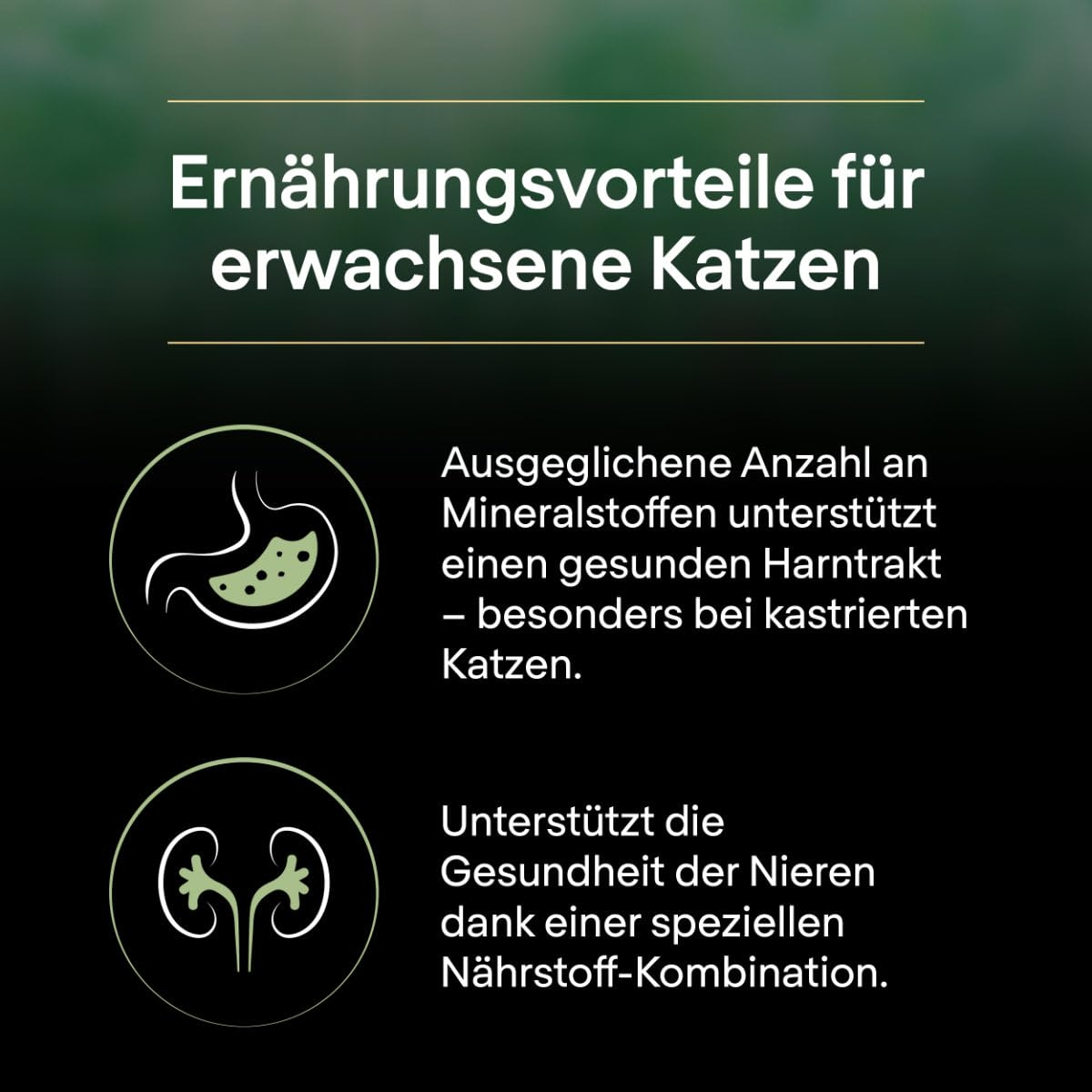 Grafik über Ernährungsvorteile für Katzen, die den Harntrakt und die Nierengesundheit unterstützen.