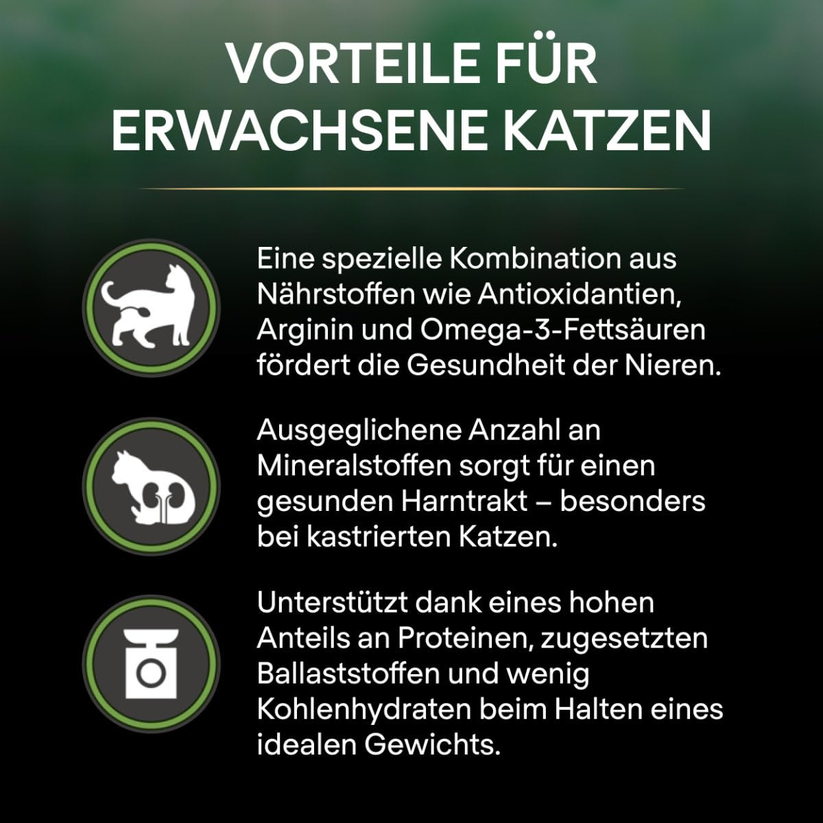 Infografik über gesundheitliche Vorteile für ausgewachsene Katzen mit Symbolen und Text.