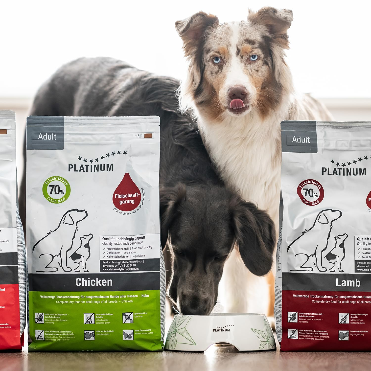 Zwei Hunde fressen aus einem Napf hinter Platinum-Hundefutterbeuteln.