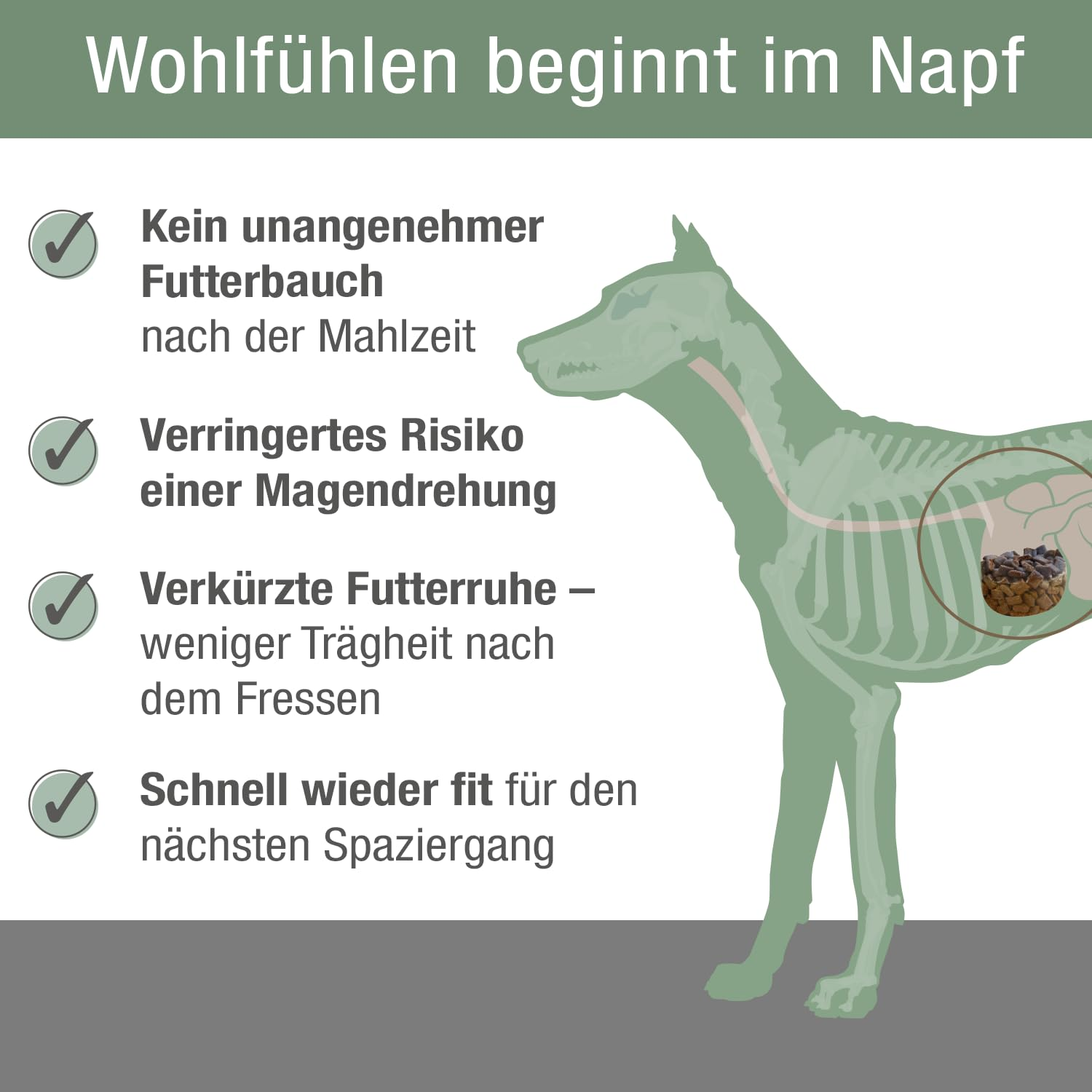 Infografik zeigt Verdauungsvorteile für Hunde mit grüner Hunde-Anatomie und Textpunkten links.