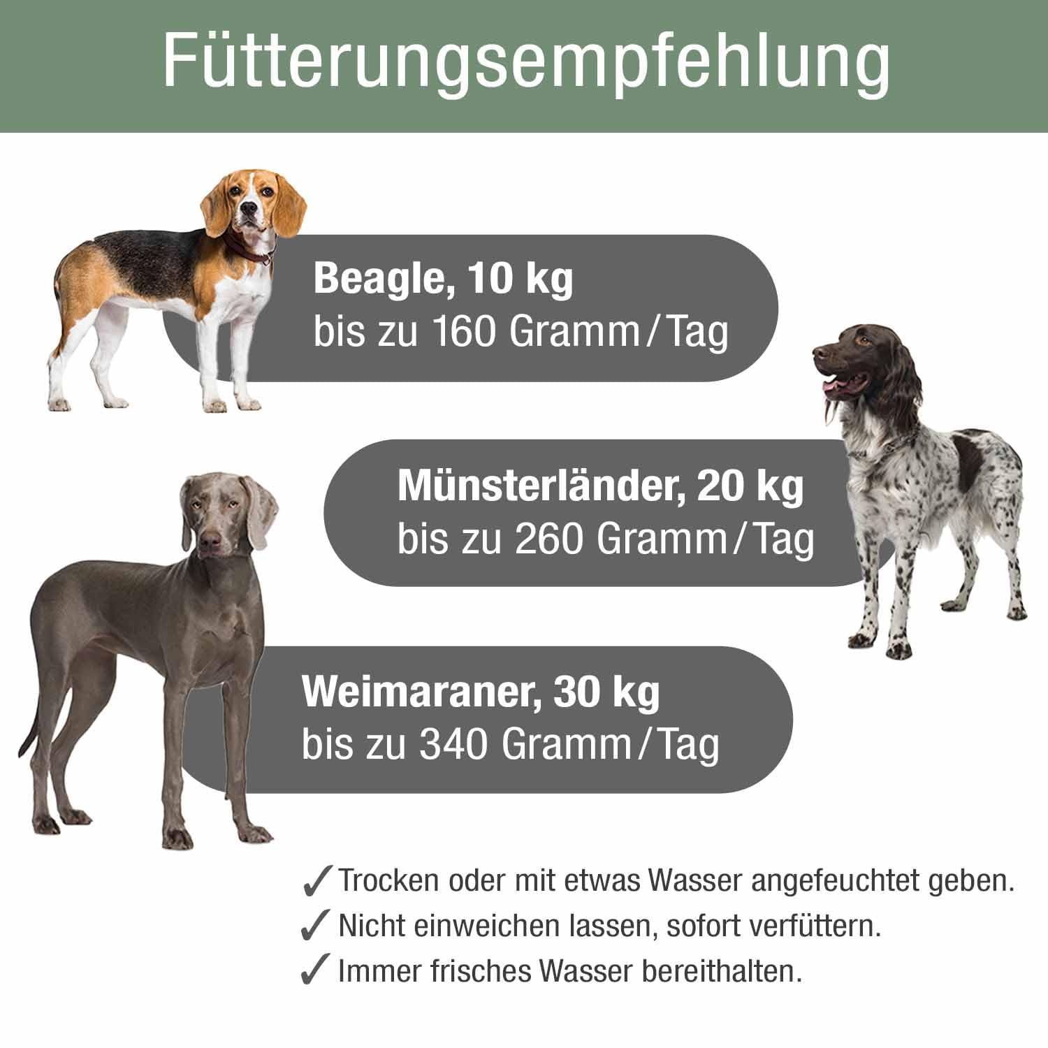Fütterungsempfehlung für Hunde verschiedener Rassen und Gewichte mit Tipps.