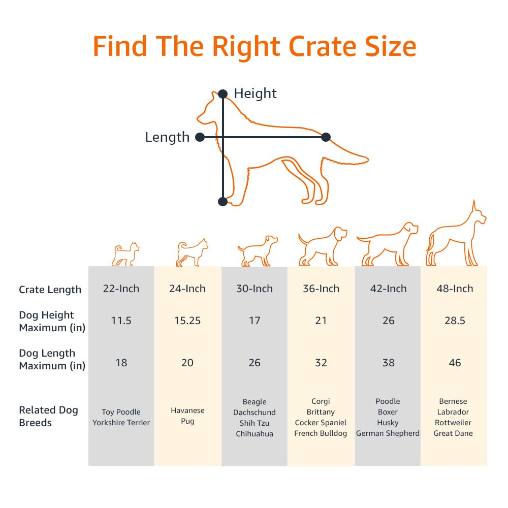 Infografica che mostra come misurare lunghezza e altezza di un cane per trovare la gabbia giusta.
