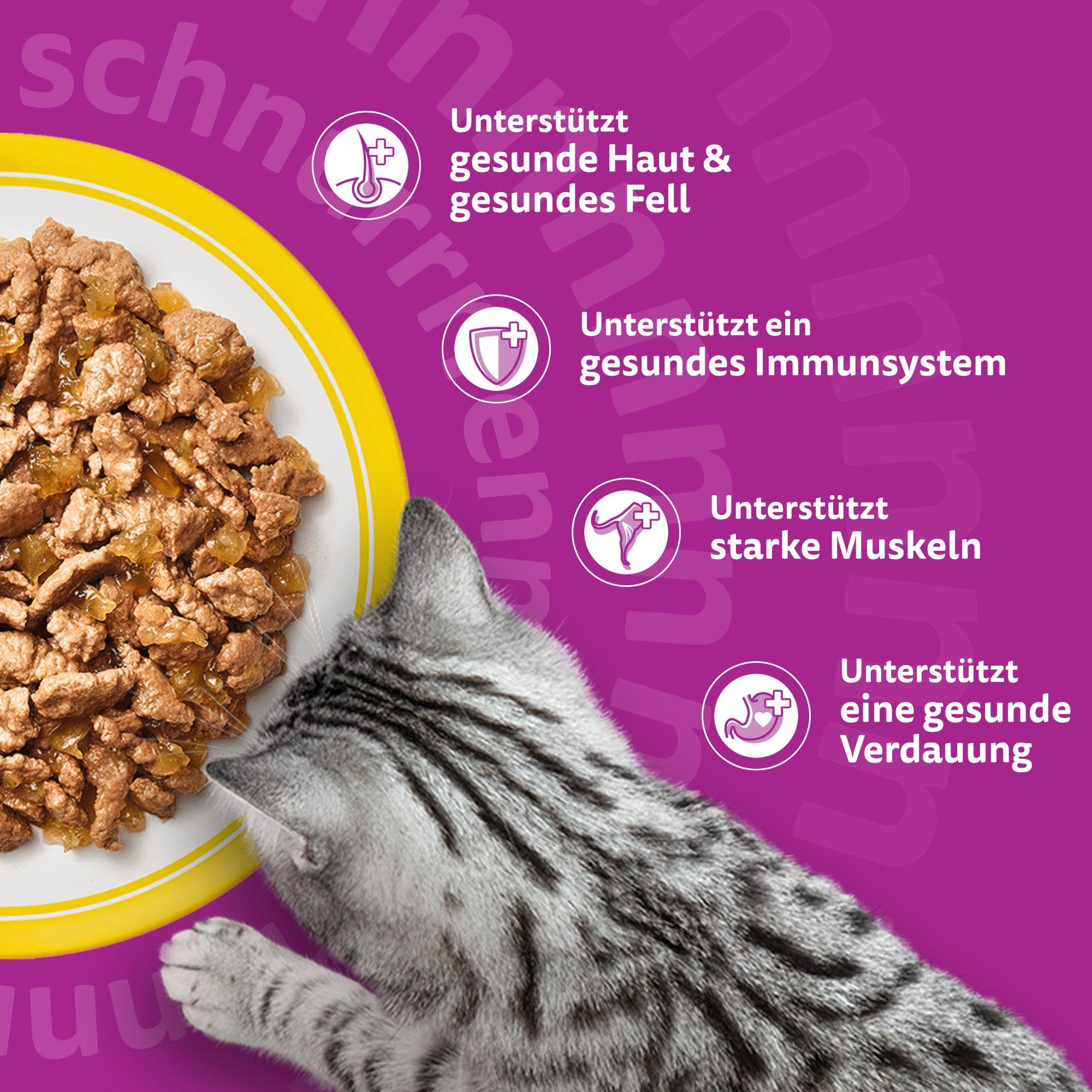 Eine graue Katze frisst Nassfutter aus einer gelben Schale vor einem violetten Hintergrund mit Gesundheits-Icons.