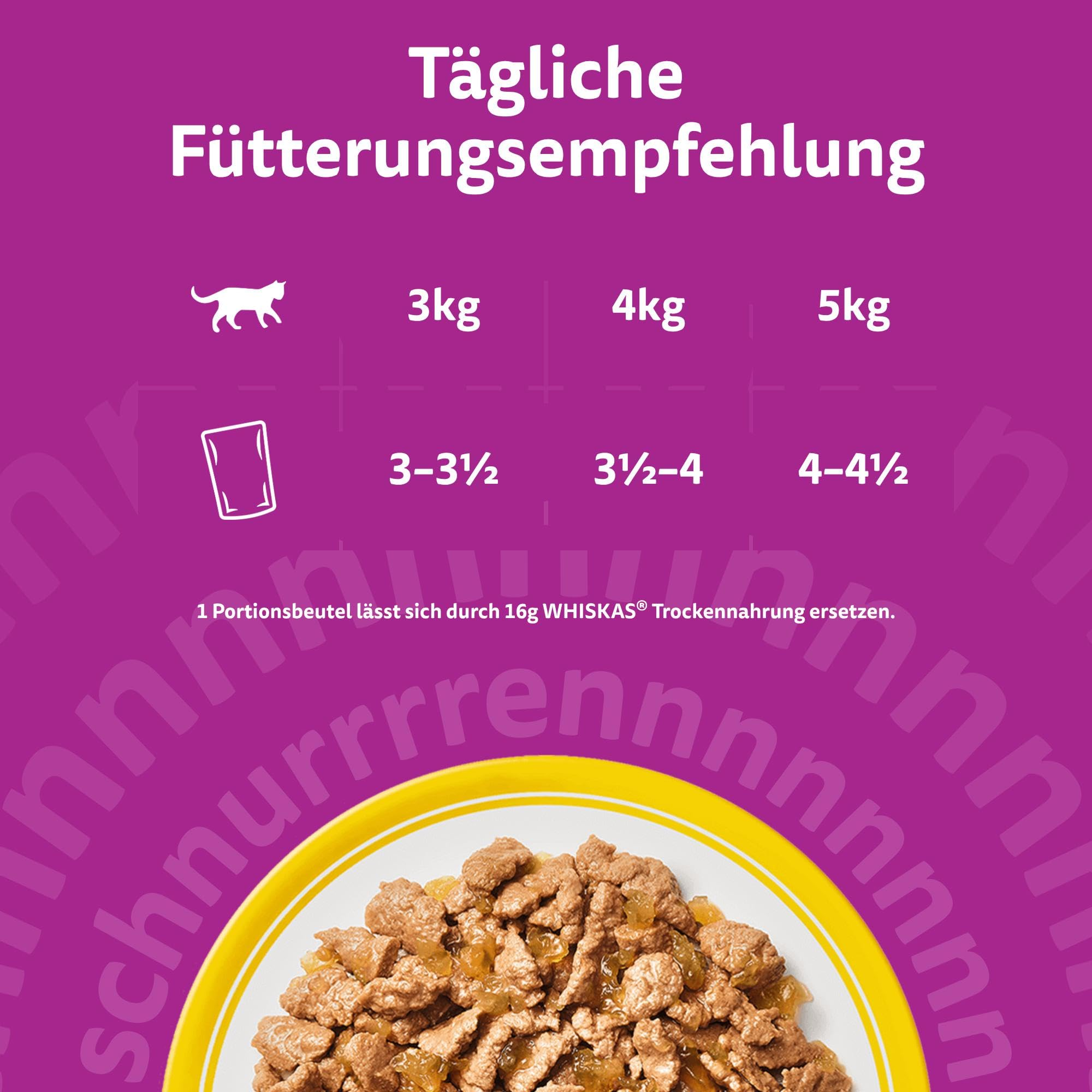 Tägliche Fütterungsempfehlung für Katzen auf violettem Grund mit Katzenfutter im Teller.
