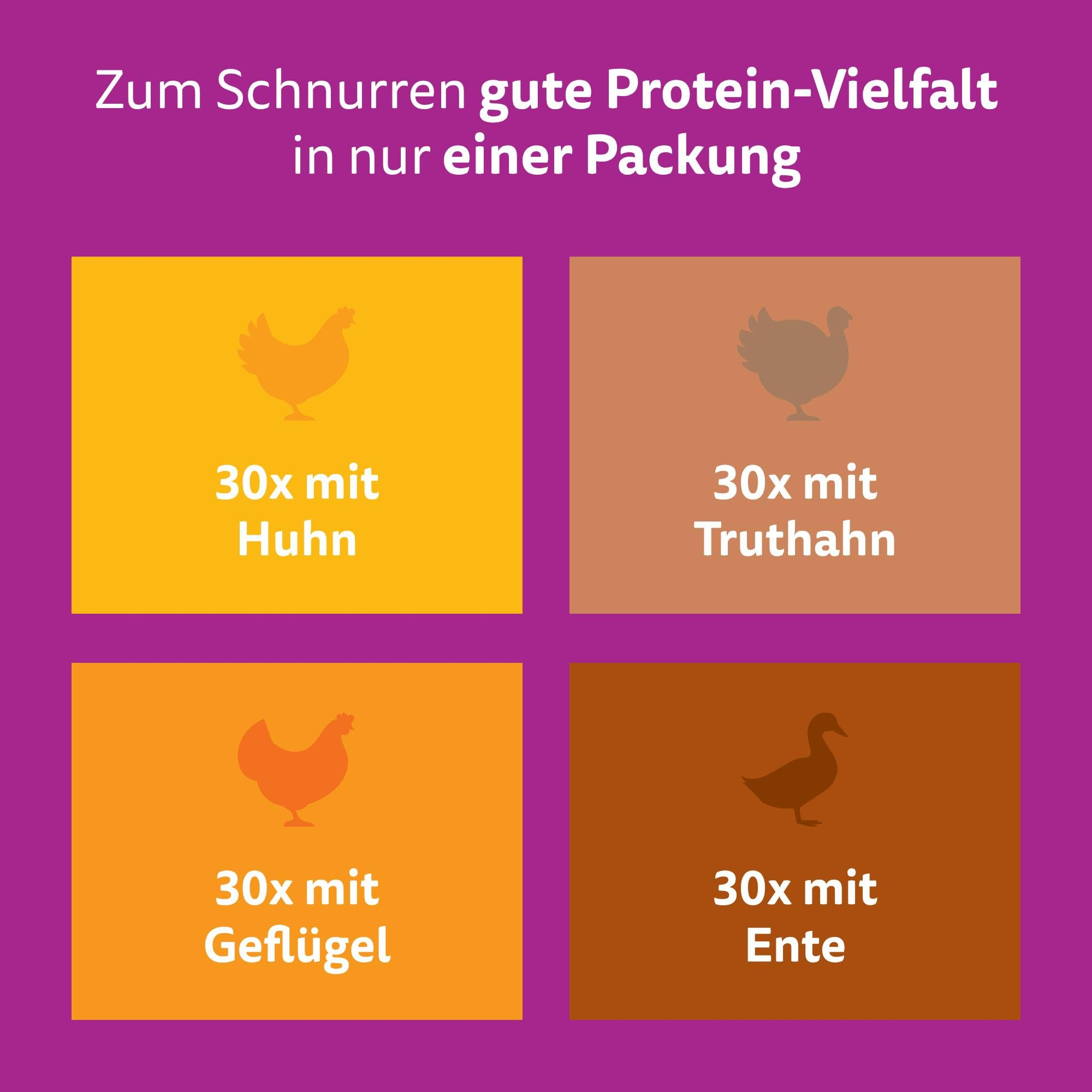 Vier farbige Felder mit Tier-Silhouetten und Text zu Katzenfutter mit Huhn, Truthahn, Geflügel und Ente.
