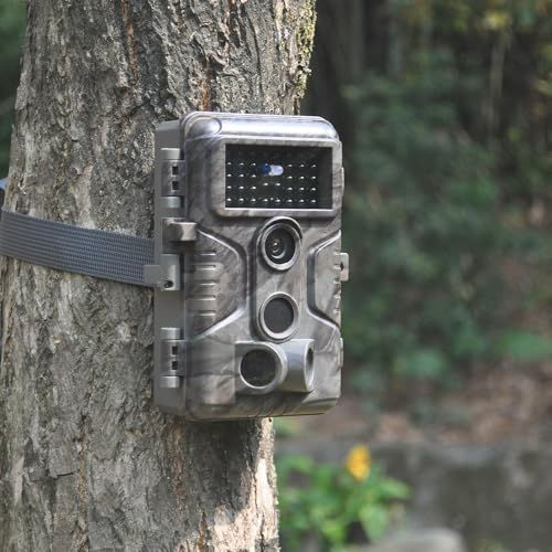 Eine graue Wildkamera ist mit einem Band an der rauen Rinde eines Baumes im Wald befestigt.