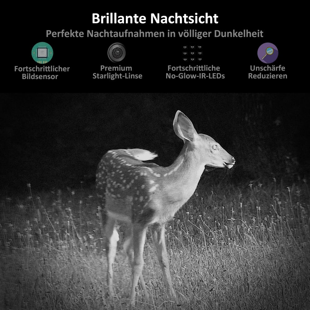 Ein Reh steht nachts auf einer Wiese, darüber Text über Brillante Nachtsicht und Funktionen.