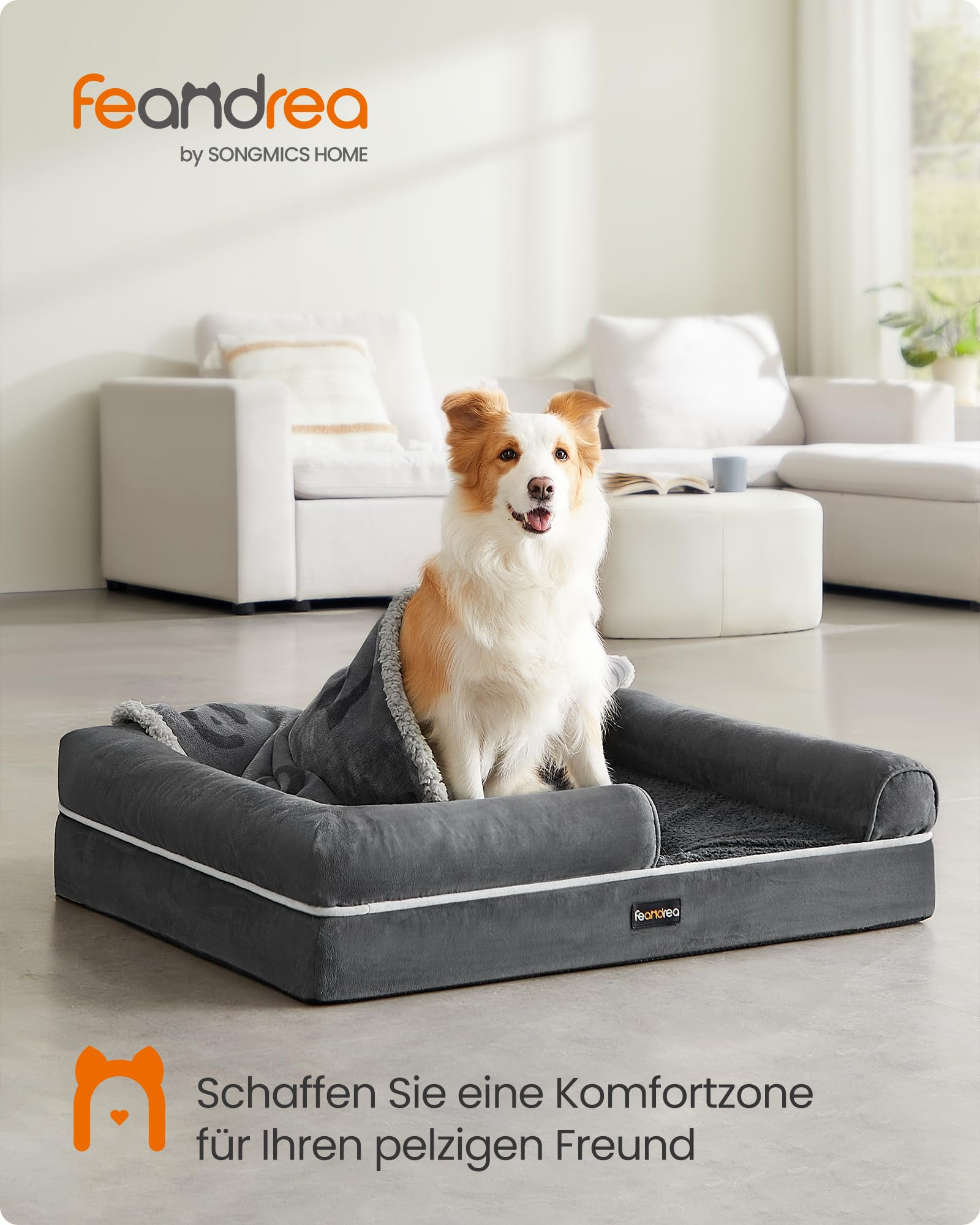 Un chien brun et blanc est assis dans un lit gris sur le sol d'un salon moderne.