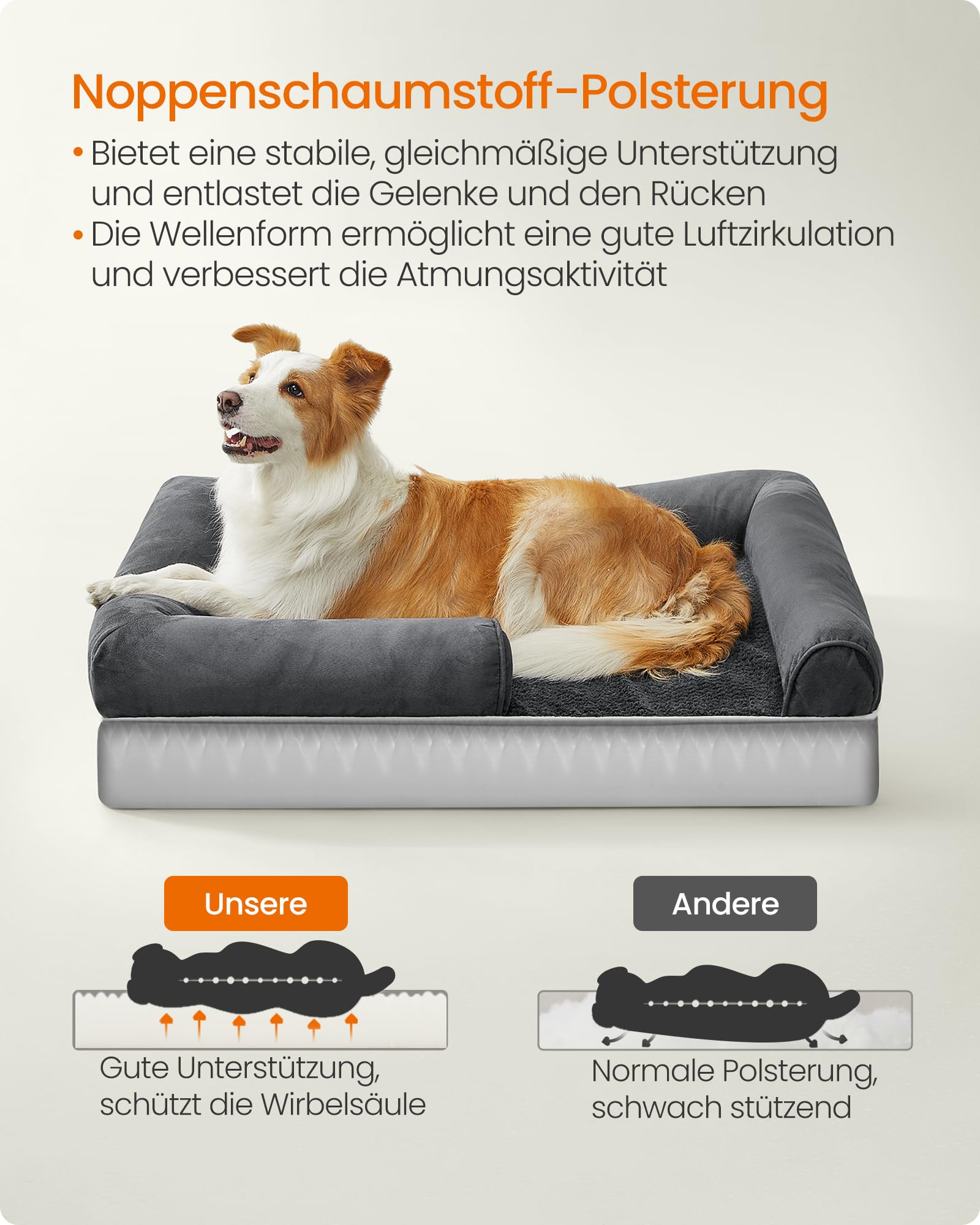 Un chien marron et blanc est étendu sur un lit orthopédique gris pour chien.