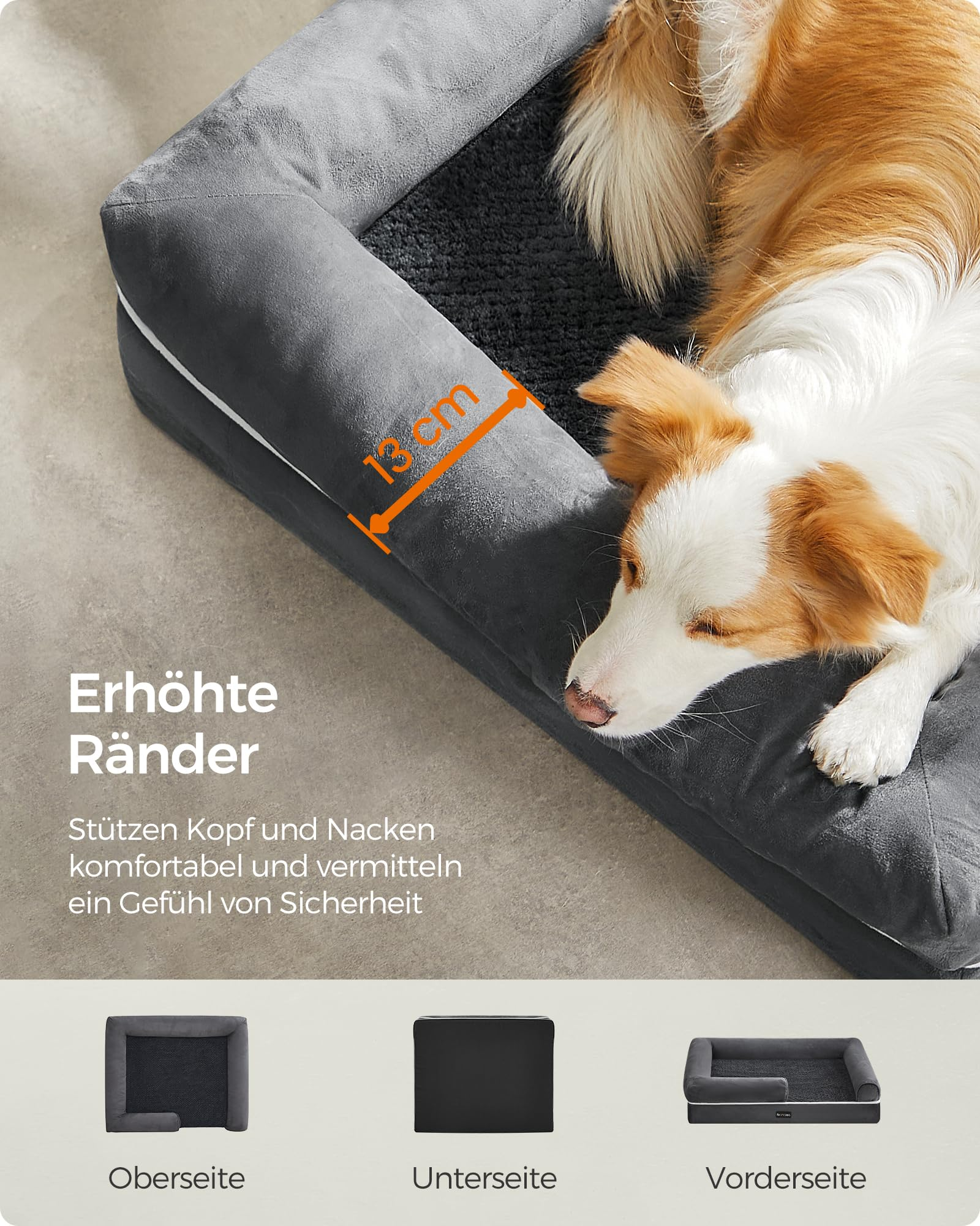 Un chien blanc et marron dort dans un lit gris avec des bords de 13 cm.