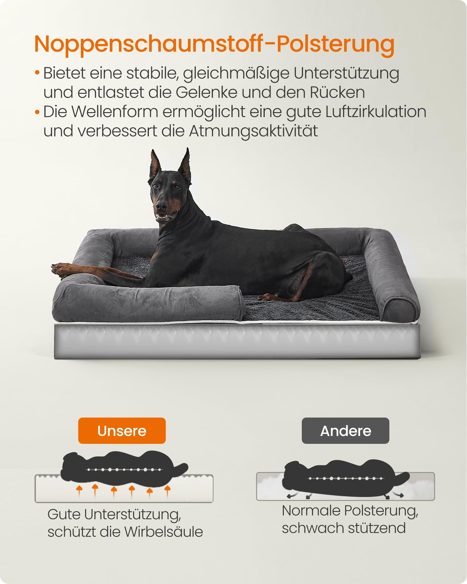 Un Dobermann est couché sur un lit pour chien gris en mousse, avec deux diagrammes de comparaison en bas.