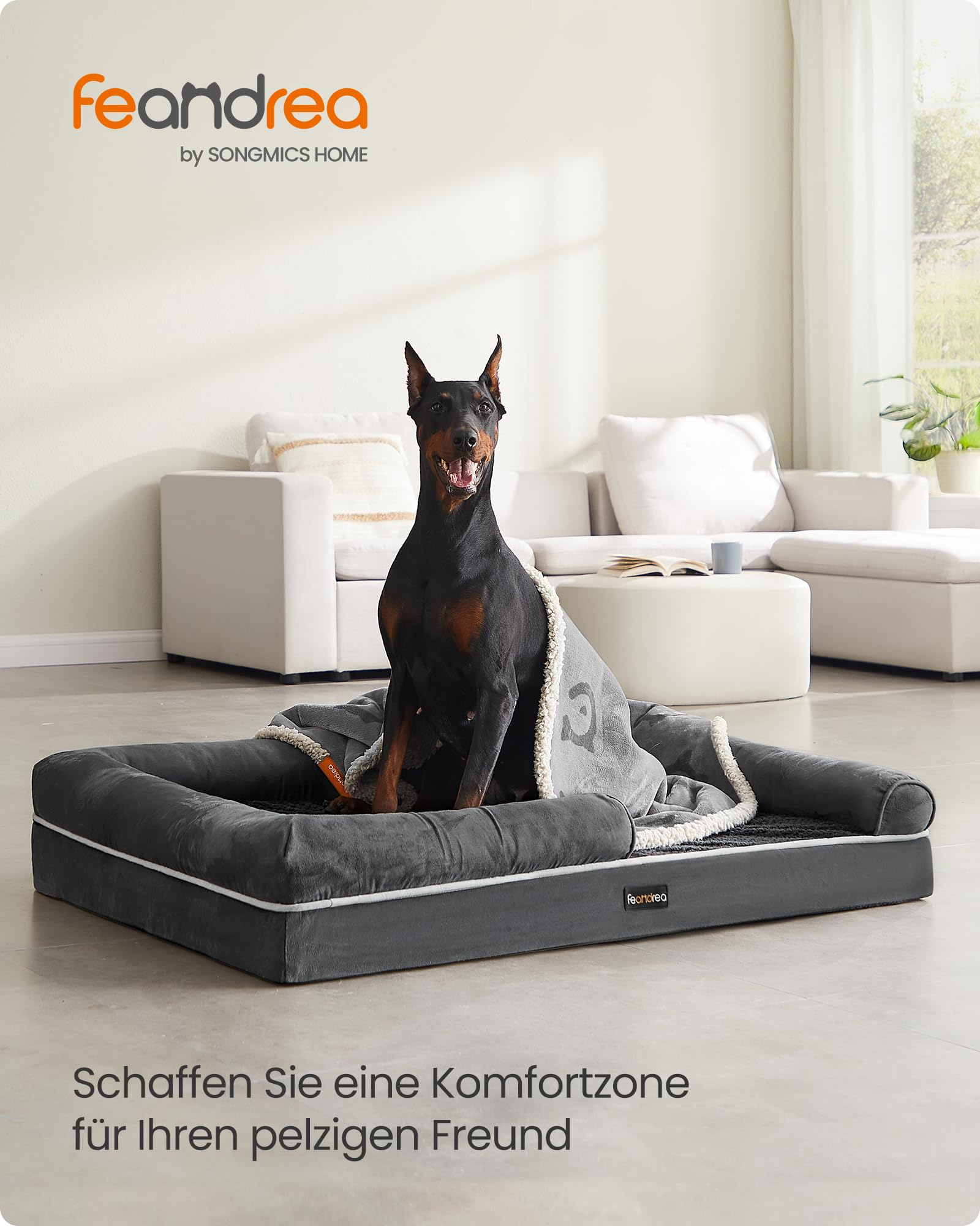 Un Doberman est assis dans un lit pour chien gris dans un salon, enveloppé dans une couverture.