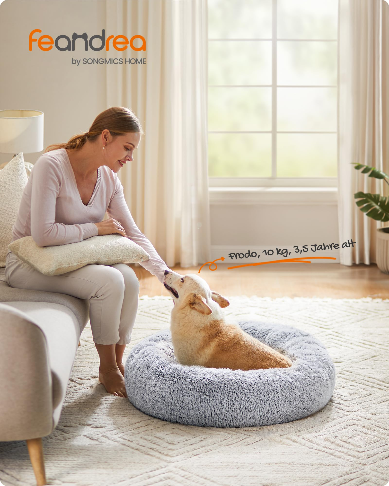 Une femme assise sur un canapé caresse un corgi couché dans un panier gris duveteux sur le tapis.