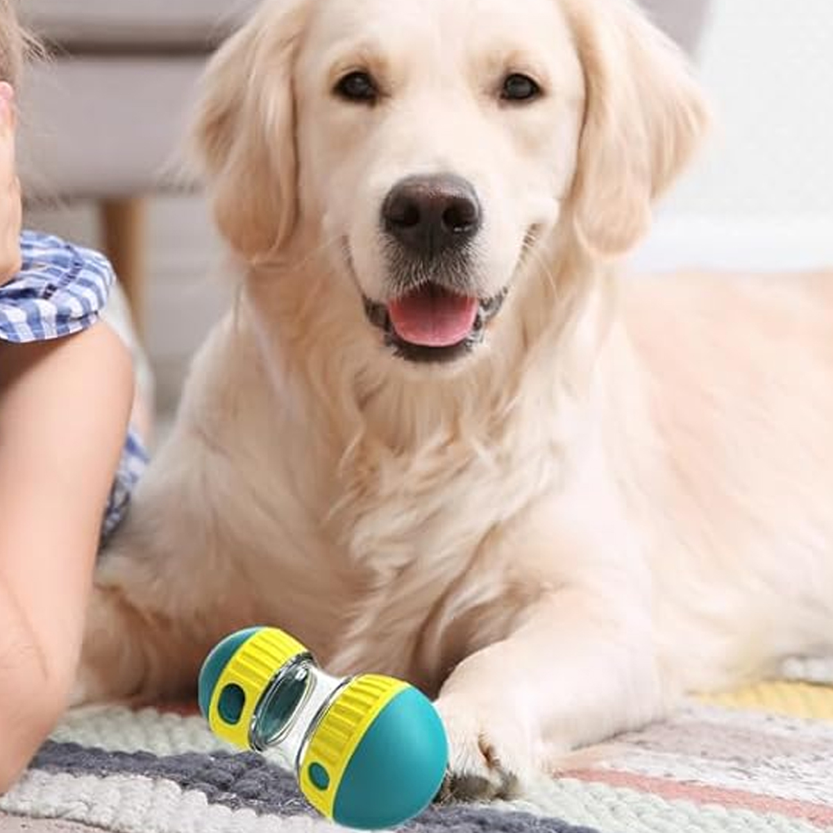 Ein glücklicher Golden Retriever liegt auf einem Teppich neben einem bunten Hundespielzeug.