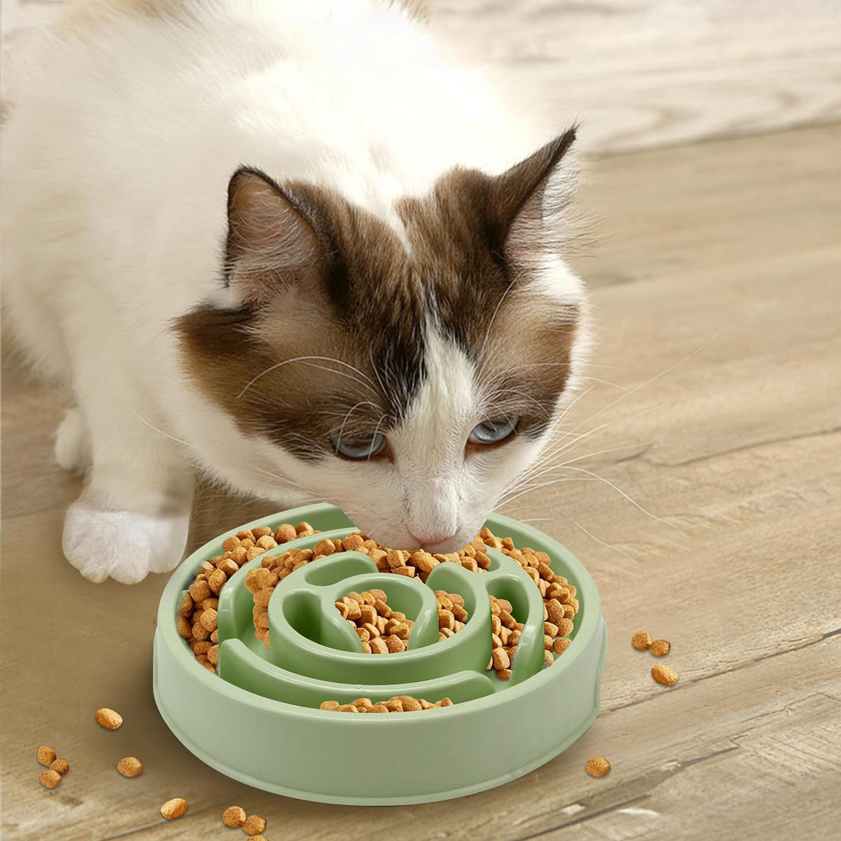 Eine weiß-braune Katze frisst Trockenfutter aus einem grünen Labyrinth-Napf auf einem Holzboden.