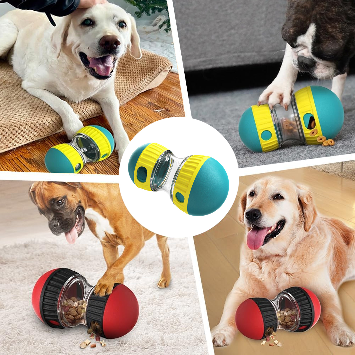 Verschiedene Hunde spielen mit bunten, hantelförmigen Hundespielzeug-Futterspendern.