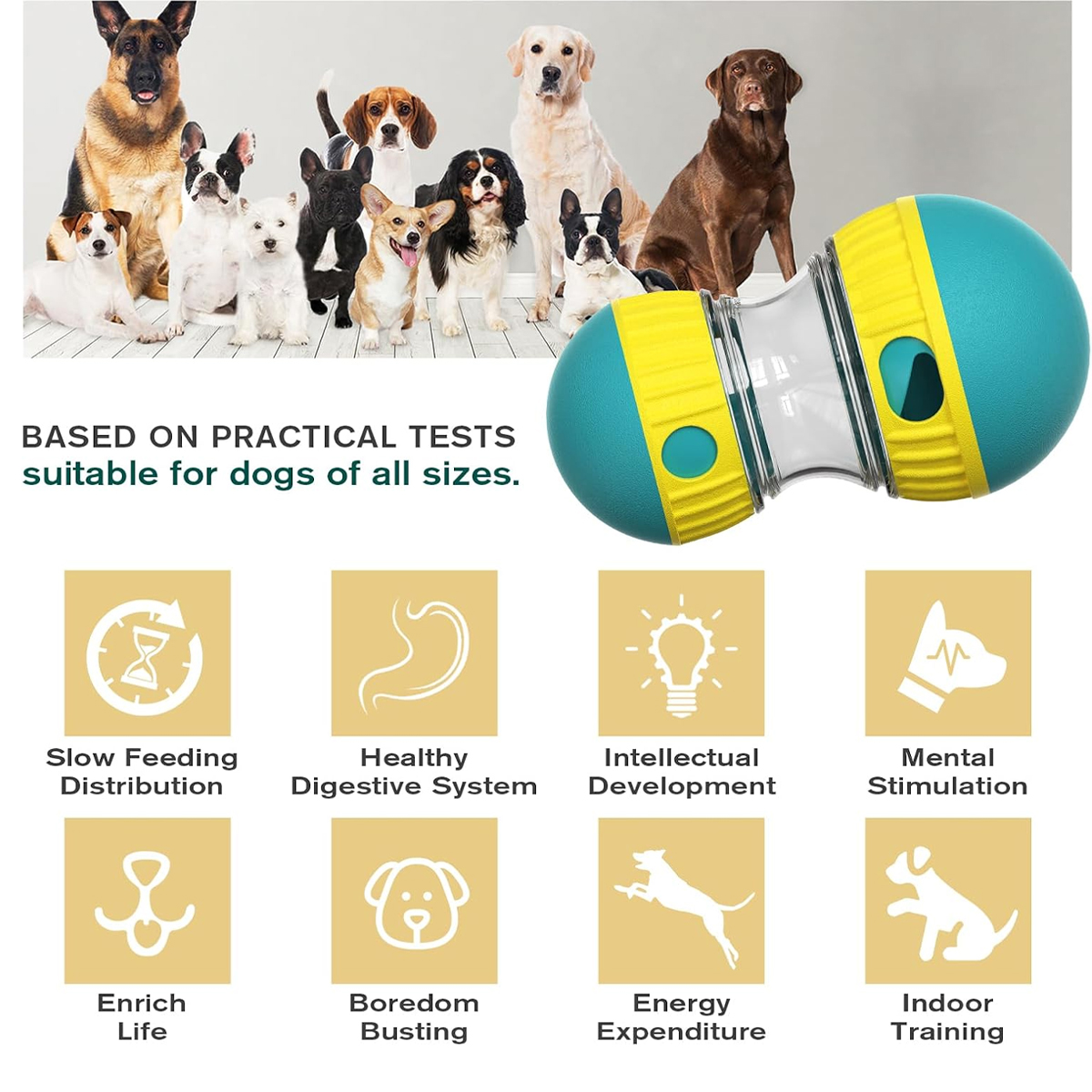 Verschiedene Hunderassen hinter einem blau-gelben Hundespielzeug und acht Icons mit Vorteilen für das Haustier.