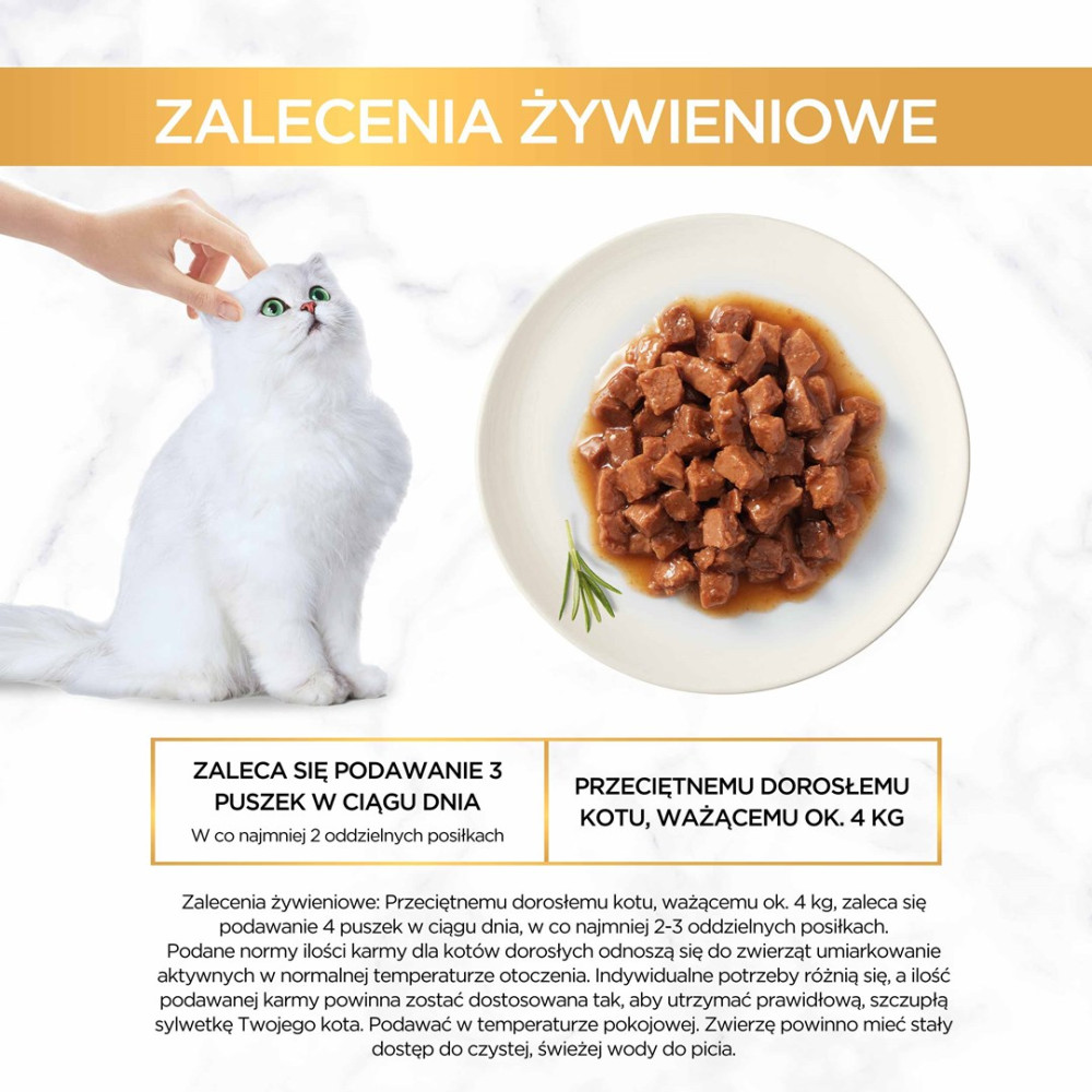 Ręka głaszcze białego kota obok talerza z kawałkami karmy.