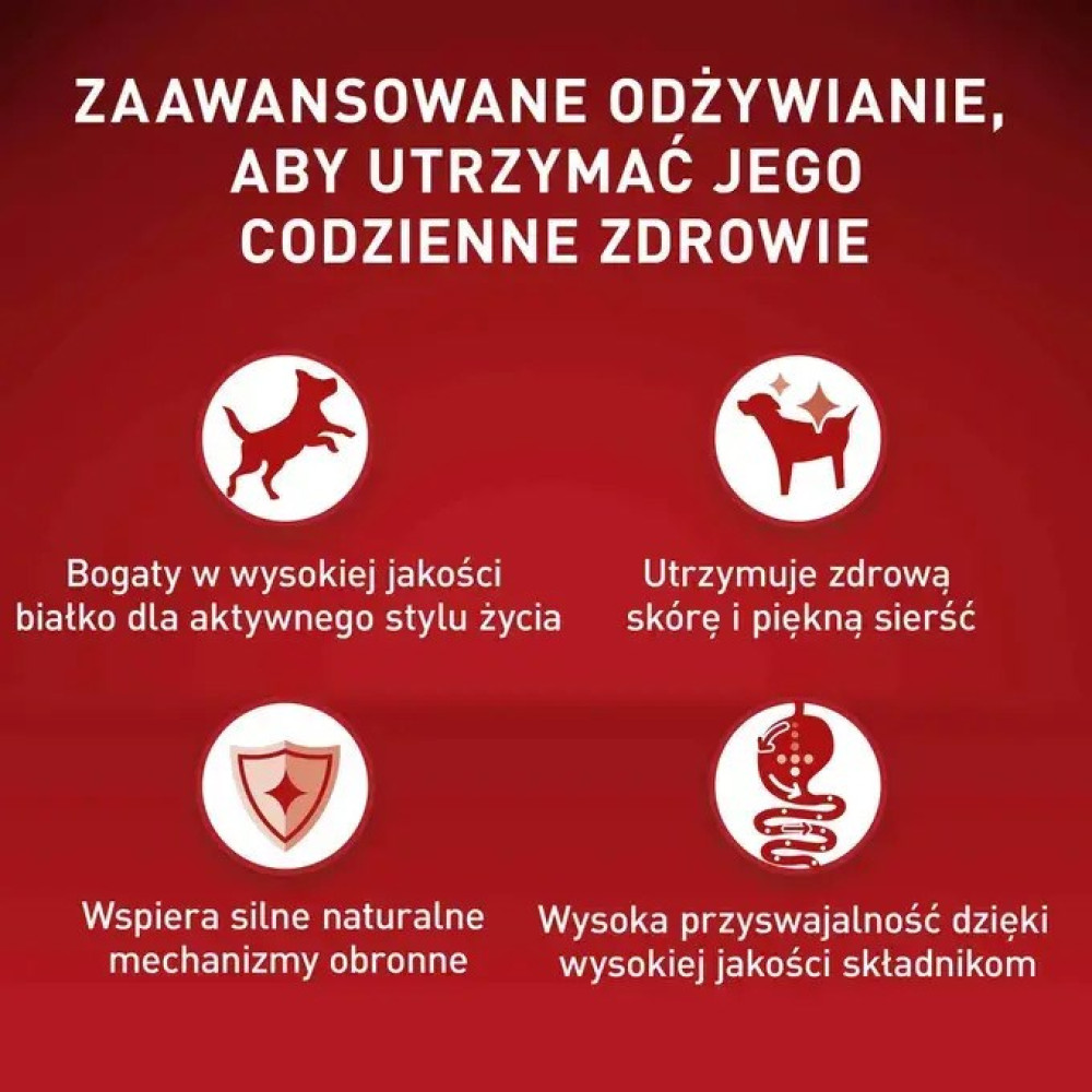Czerwone tło z białym tekstem i czterema ikonami przedstawiającymi korzyści dla psa: energię, skórę, odporność i trawienie.