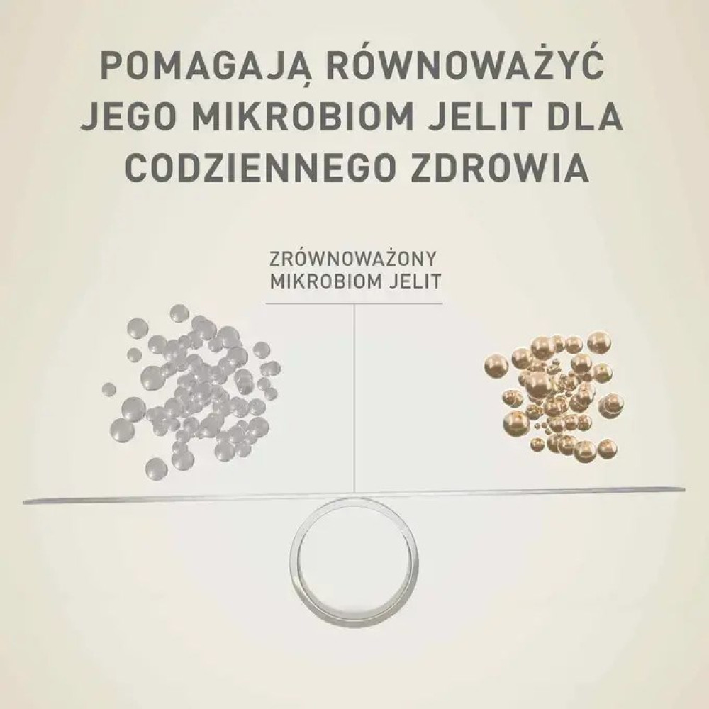 Waga pokazuje porównanie zdrowia jelit za pomocą srebrnych i złotych kulek.
