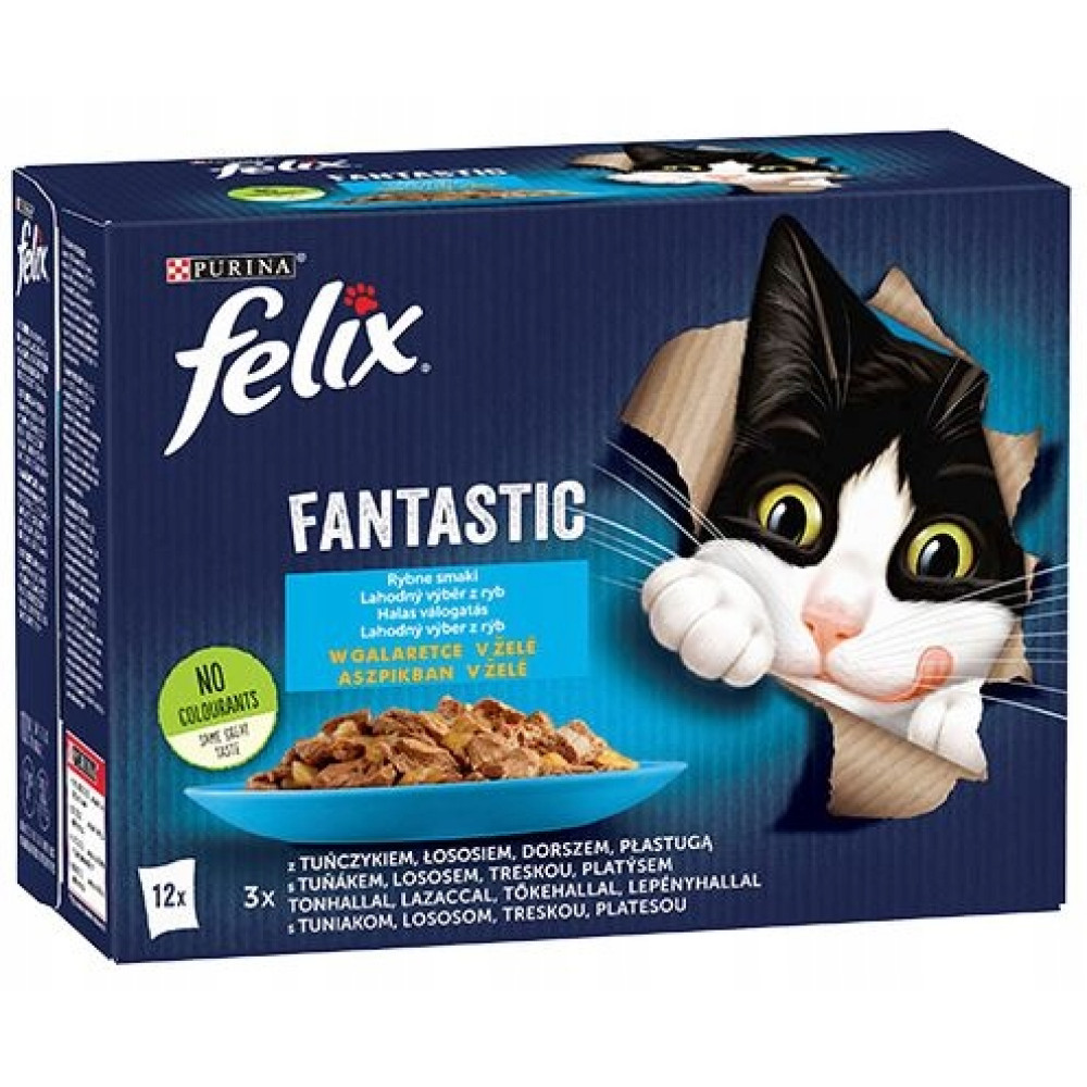 Niebieskie pudełko karmy dla kota Felix Fantastic z czarno-białym kotem wyglądającym z papieru.