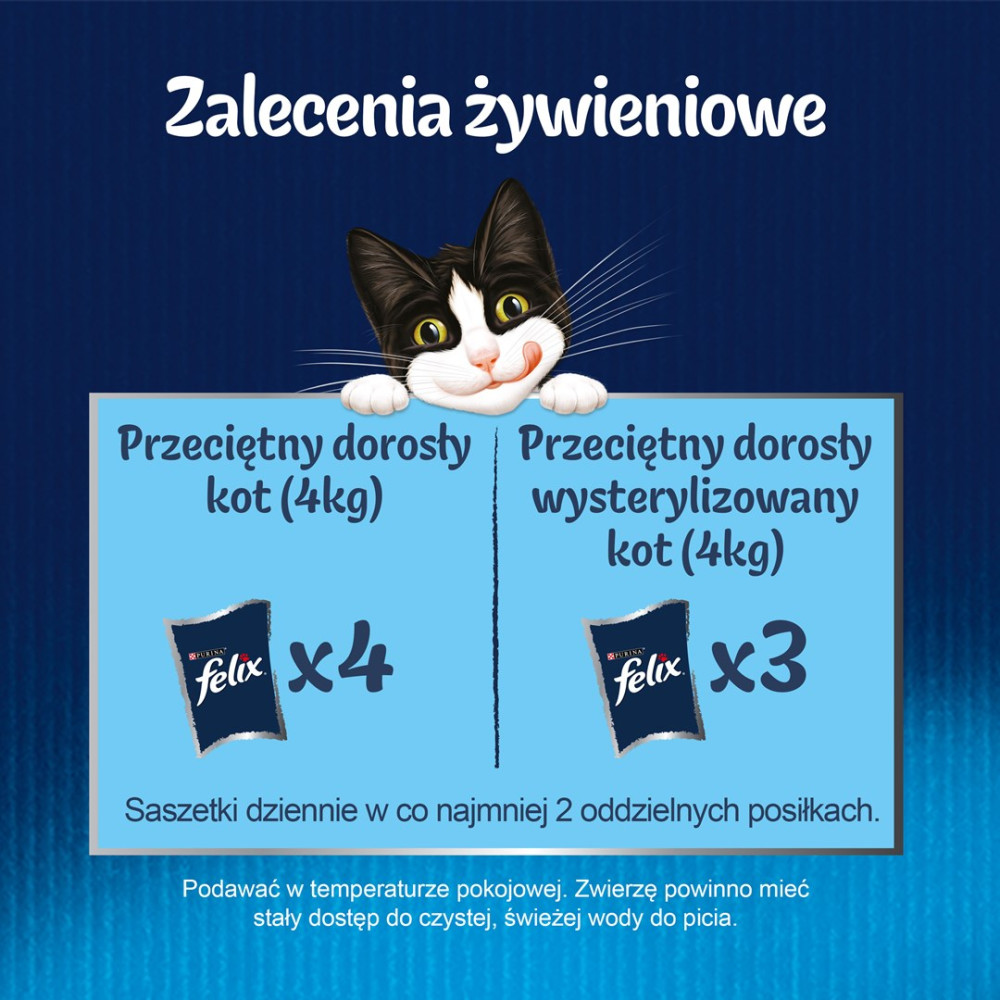 Grafika przedstawia zalecenia żywieniowe dla kota z czarno-białym kotem.