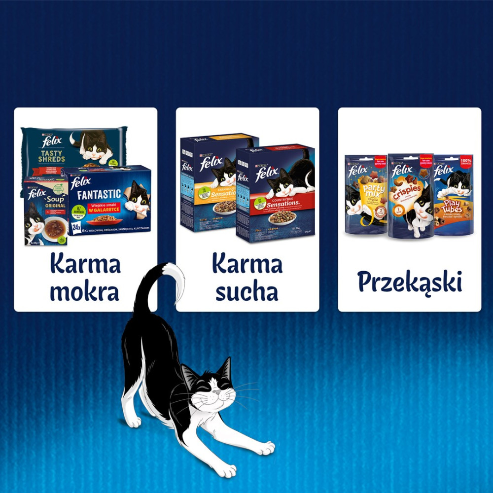 Czarno-biały kot przeciąga się przed trzema panelami z karmą i przysmakami dla kotów Felix.