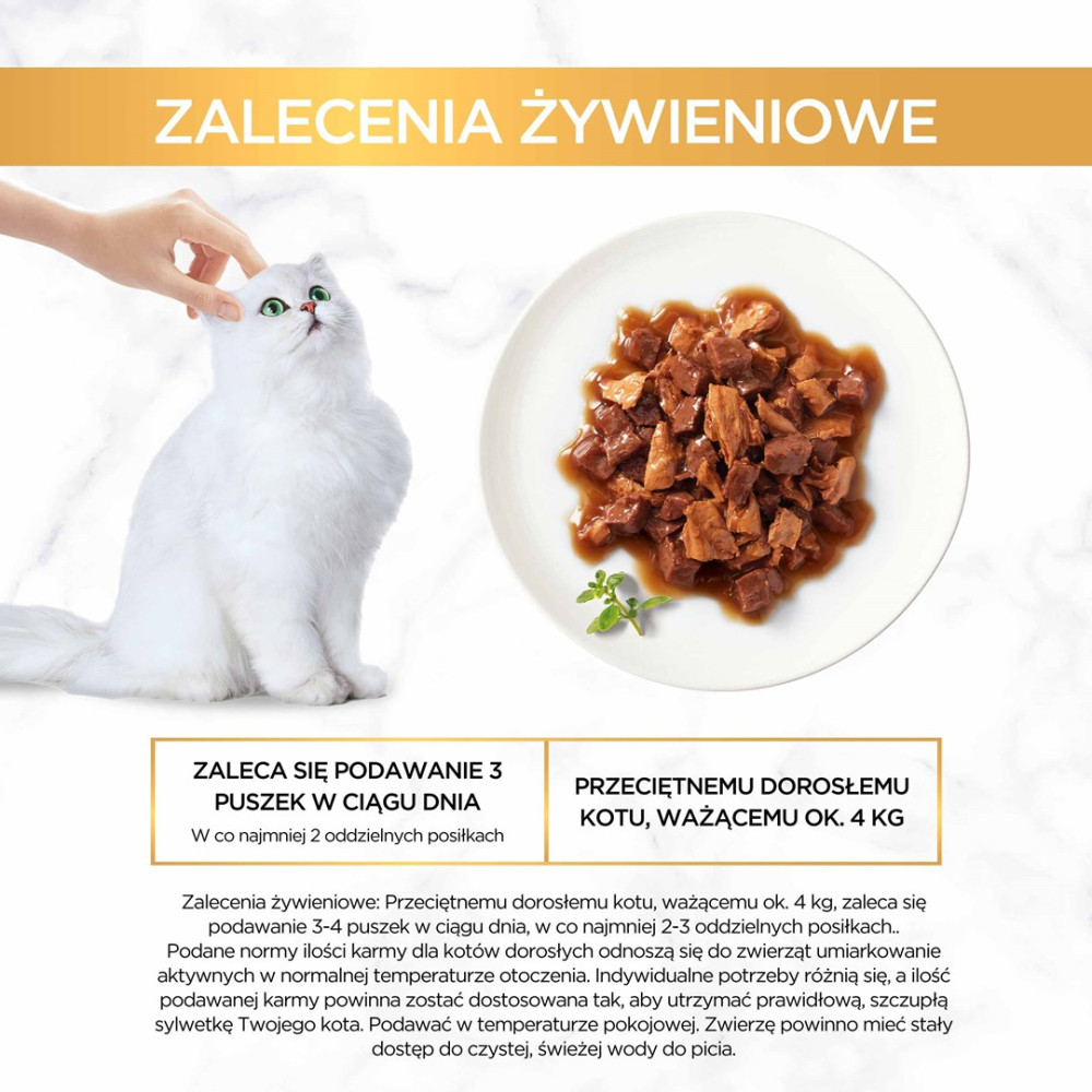 Ręka głaszcze białego kota obok talerza z kawałkami mięsa w sosie.