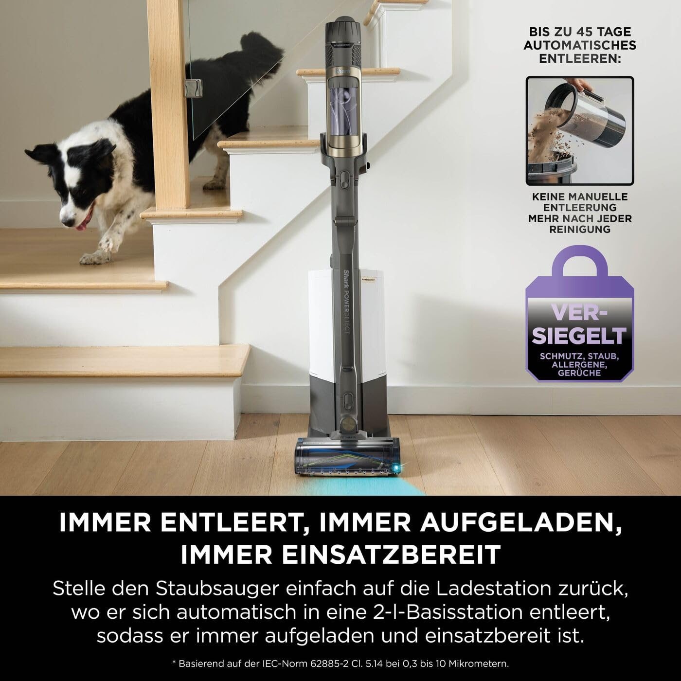 Ein kabelloser Staubsauger steht auf Holzboden an einer Treppe, auf der ein schwarz-weißer Hund geht. Textoverlays.