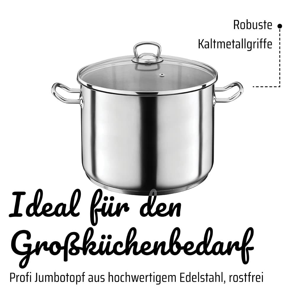 Grand faitout en acier inoxydable avec couvercle en verre et poignées, idéal pour les cuisines professionnelles.