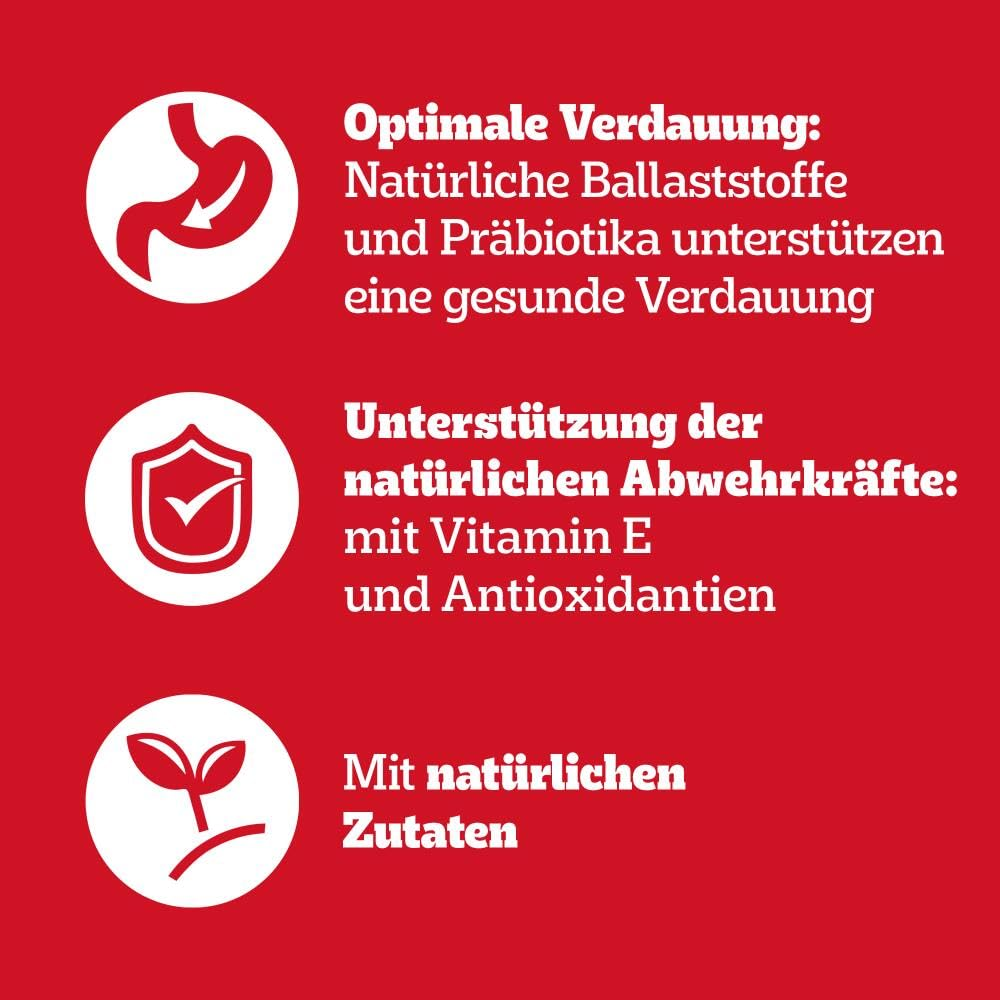 Roter Hintergrund mit drei weißen Icons und deutschem Text zu Verdauung, Immunsystem und natürlichen Zutaten.