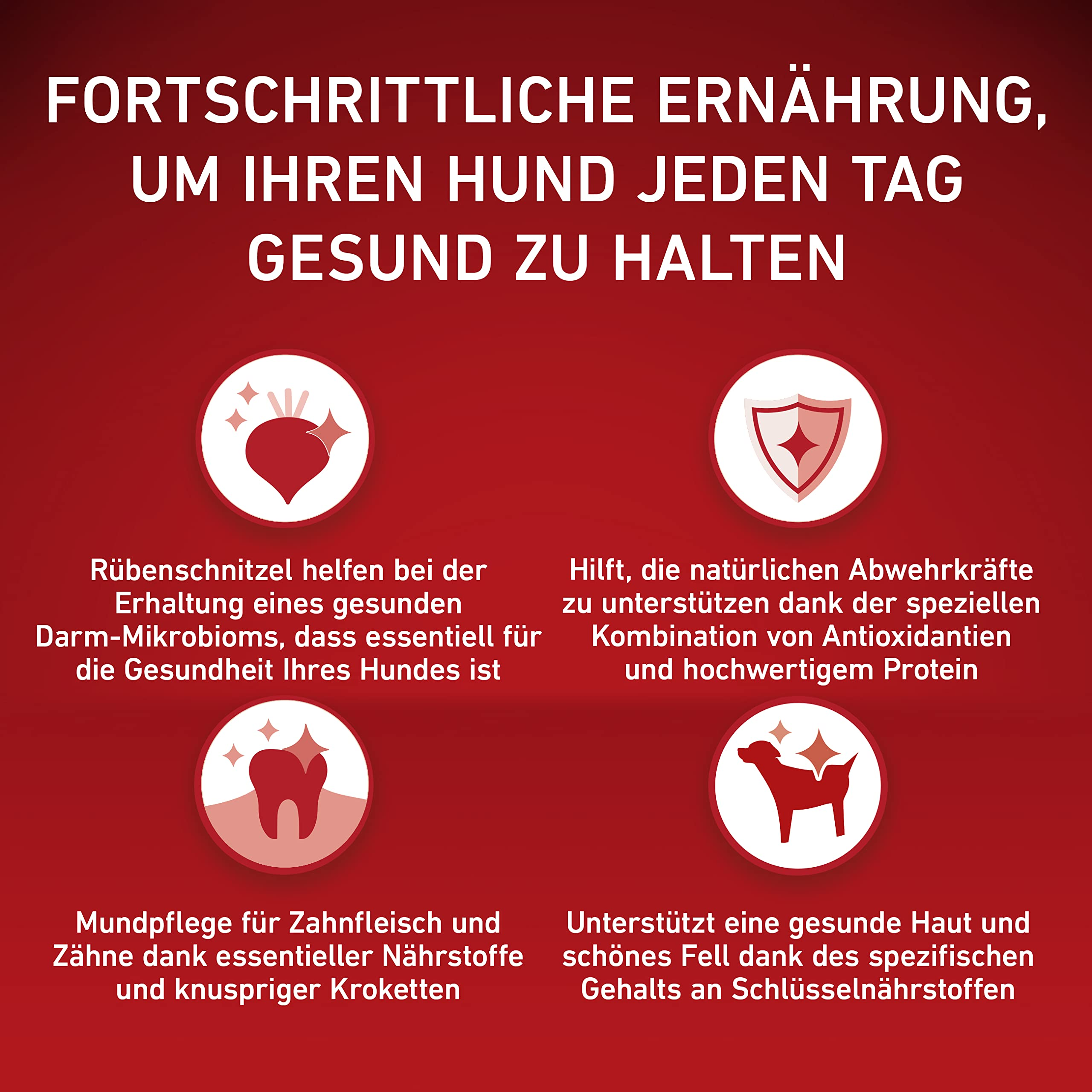 Roter Hintergrund mit Text und vier Icons zur Hundeernährung und Gesundheit.