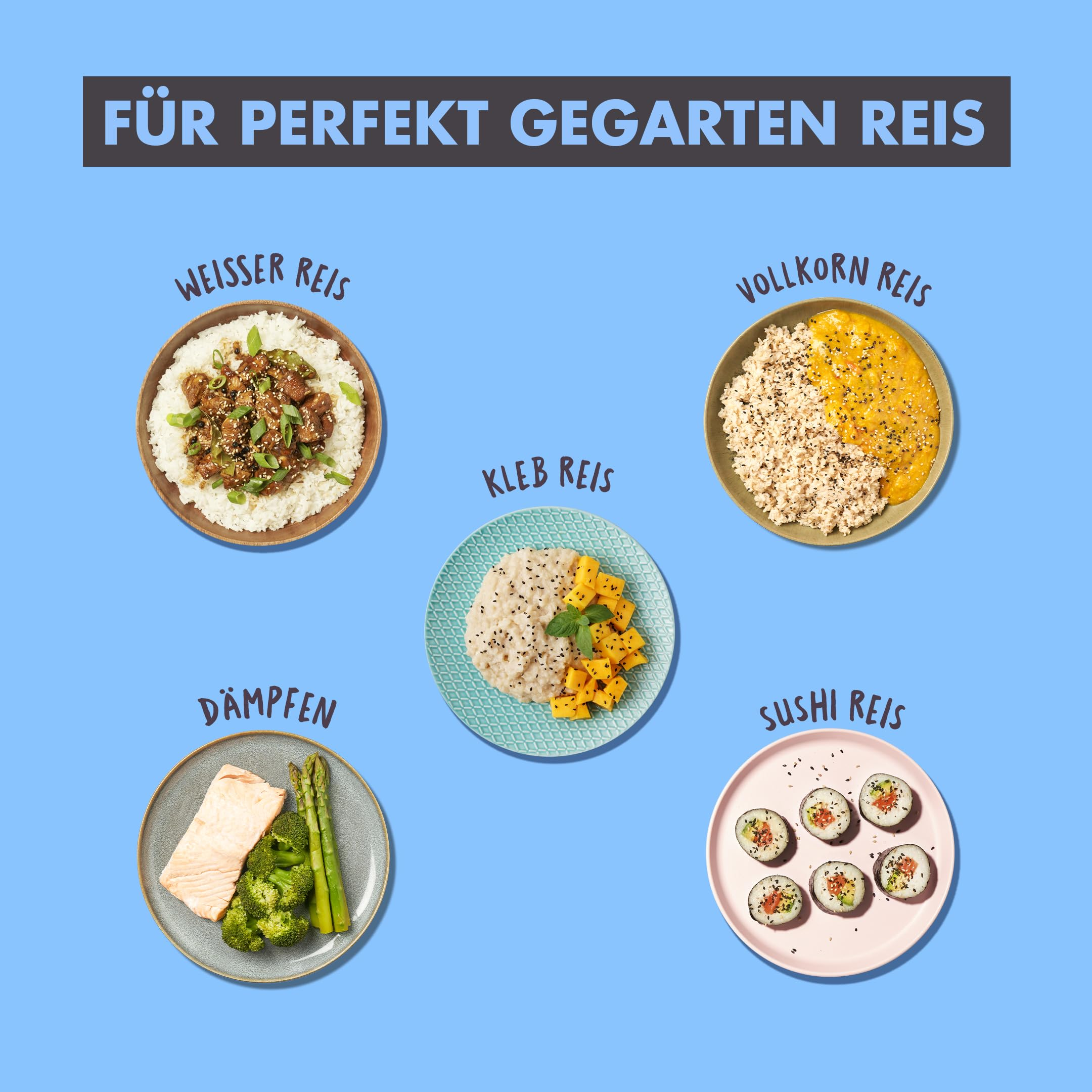 Fünf Teller mit verschiedenen Reisgerichten, Fisch, Gemüse und Sushi auf blauem Hintergrund mit deutschem Text.