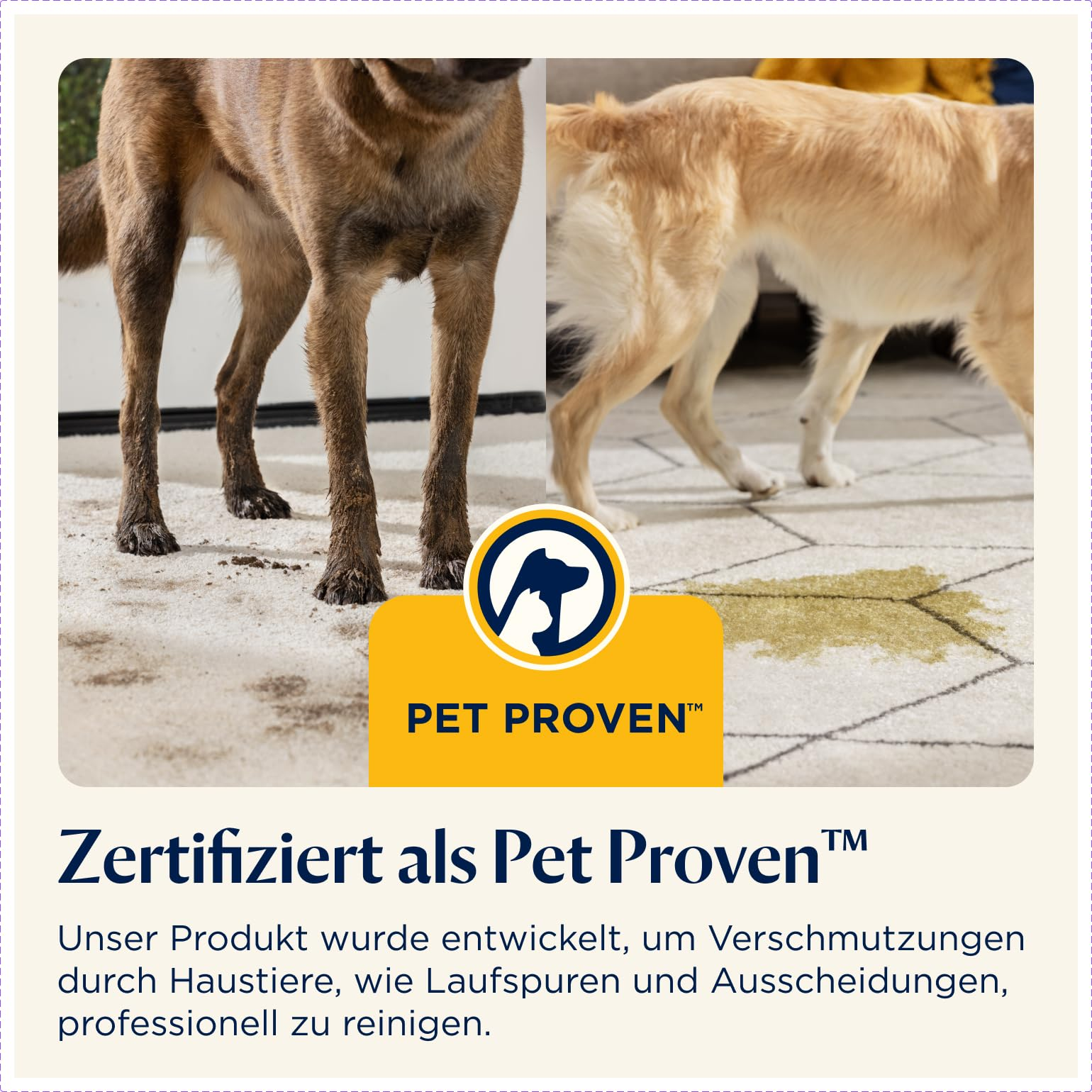 Due cani su tappeto chiaro con macchie di sporco e logo Pet Proven.