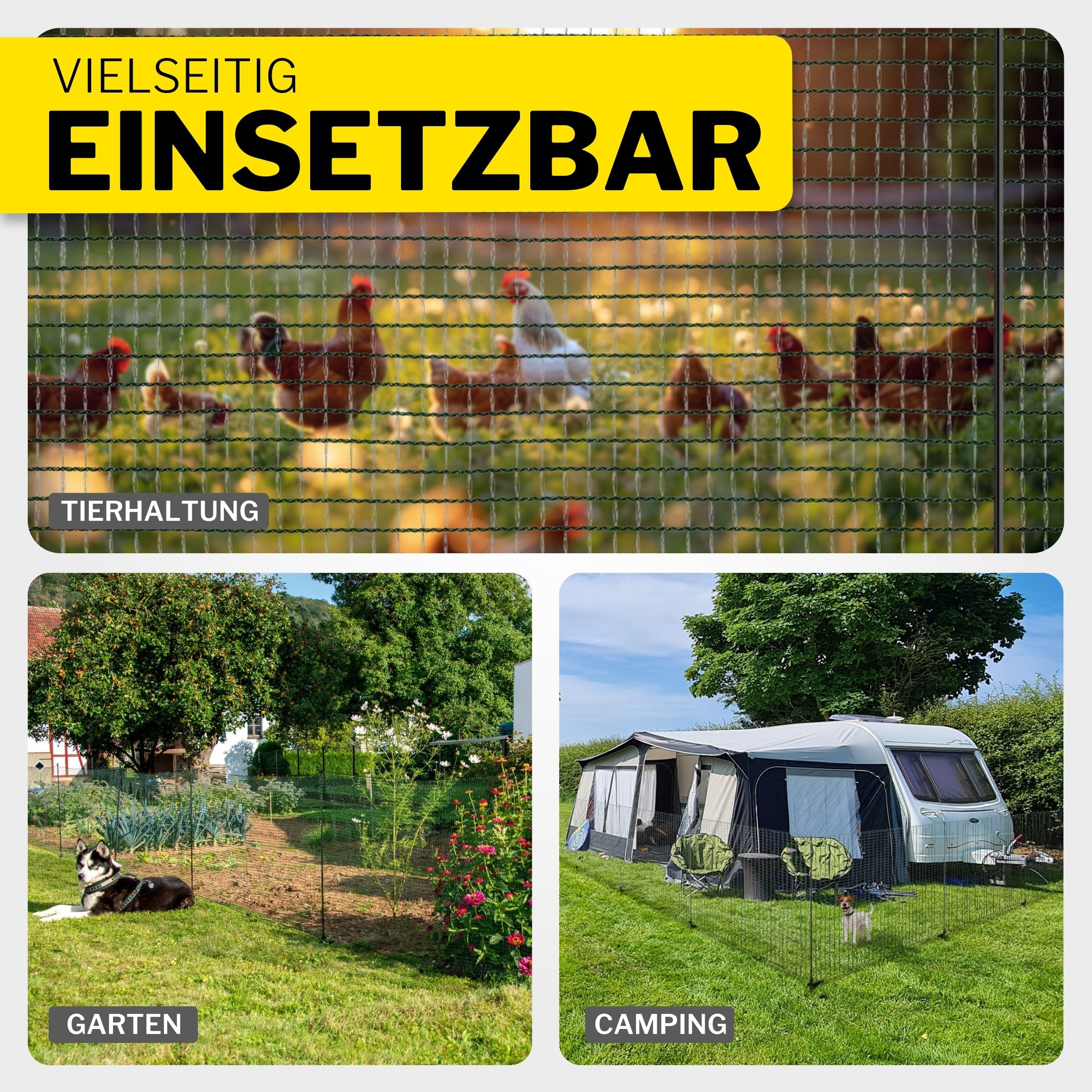 Collage montrant un grillage métallique utilisé pour l'élevage de poulets, dans un jardin avec un chien et dans un camping.