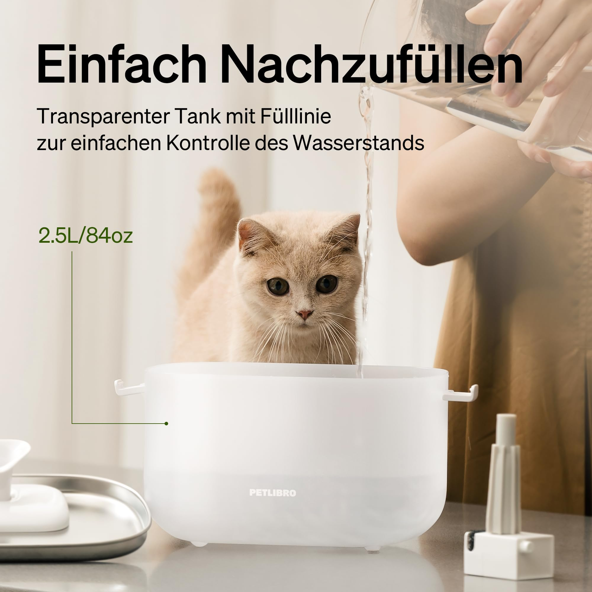 Person gießt Wasser in einen 2,5L Petlibro-Haustierbrunnen, während eine Katze zusieht.