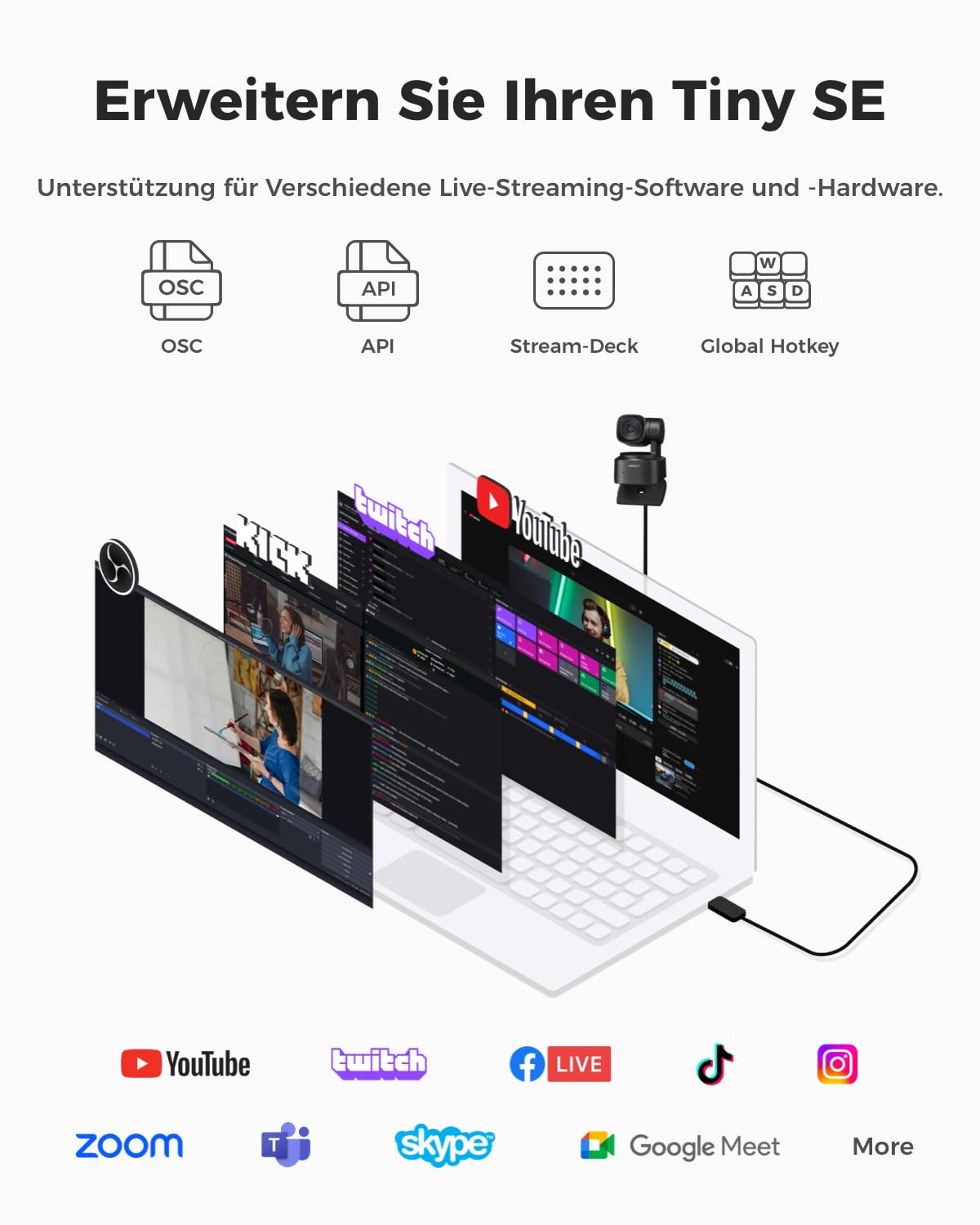 Compatibilità software per Tiny SE con icone di piattaforme streaming.