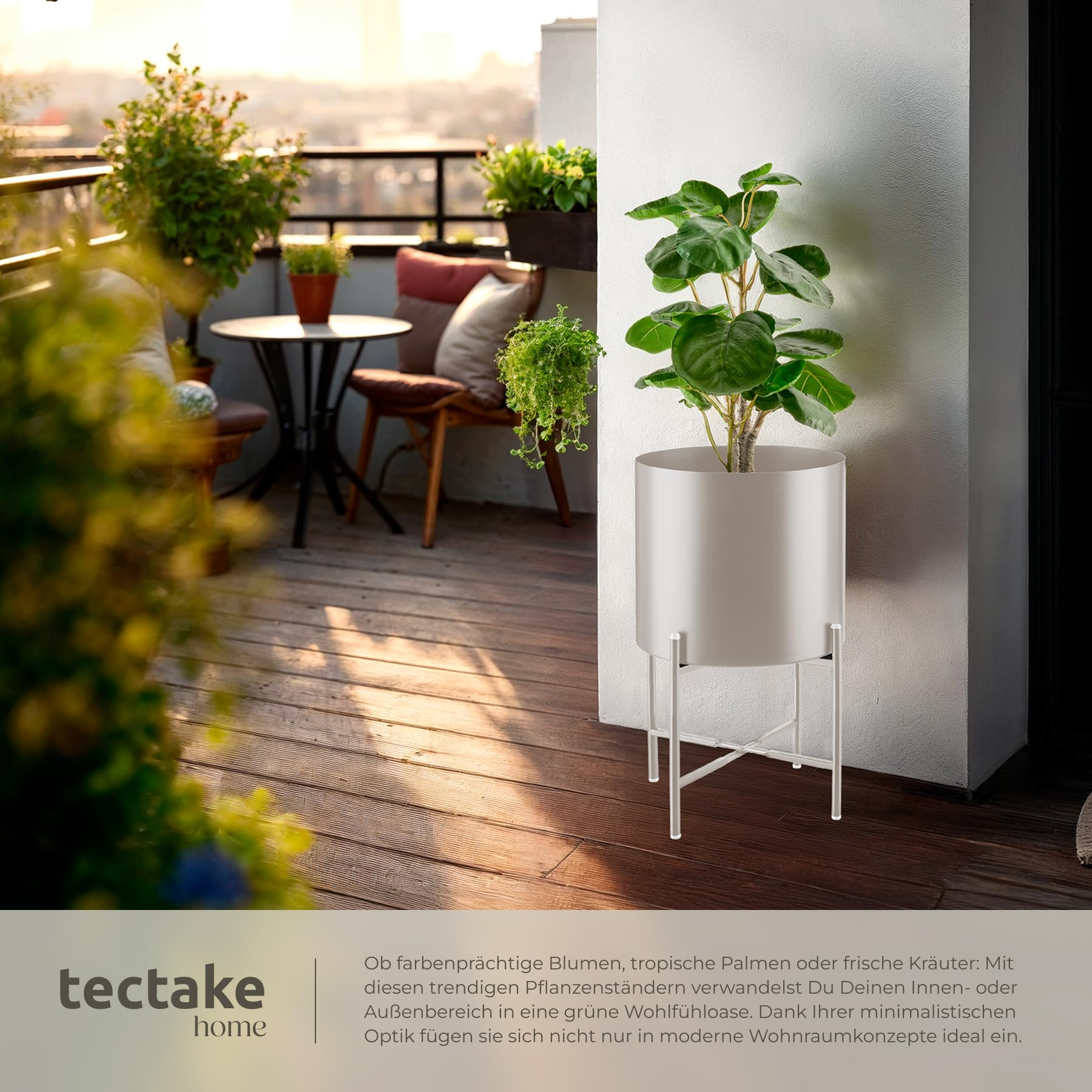 Une plante en pot sur un support blanc moderne sur un balcon en bois ensoleillé.