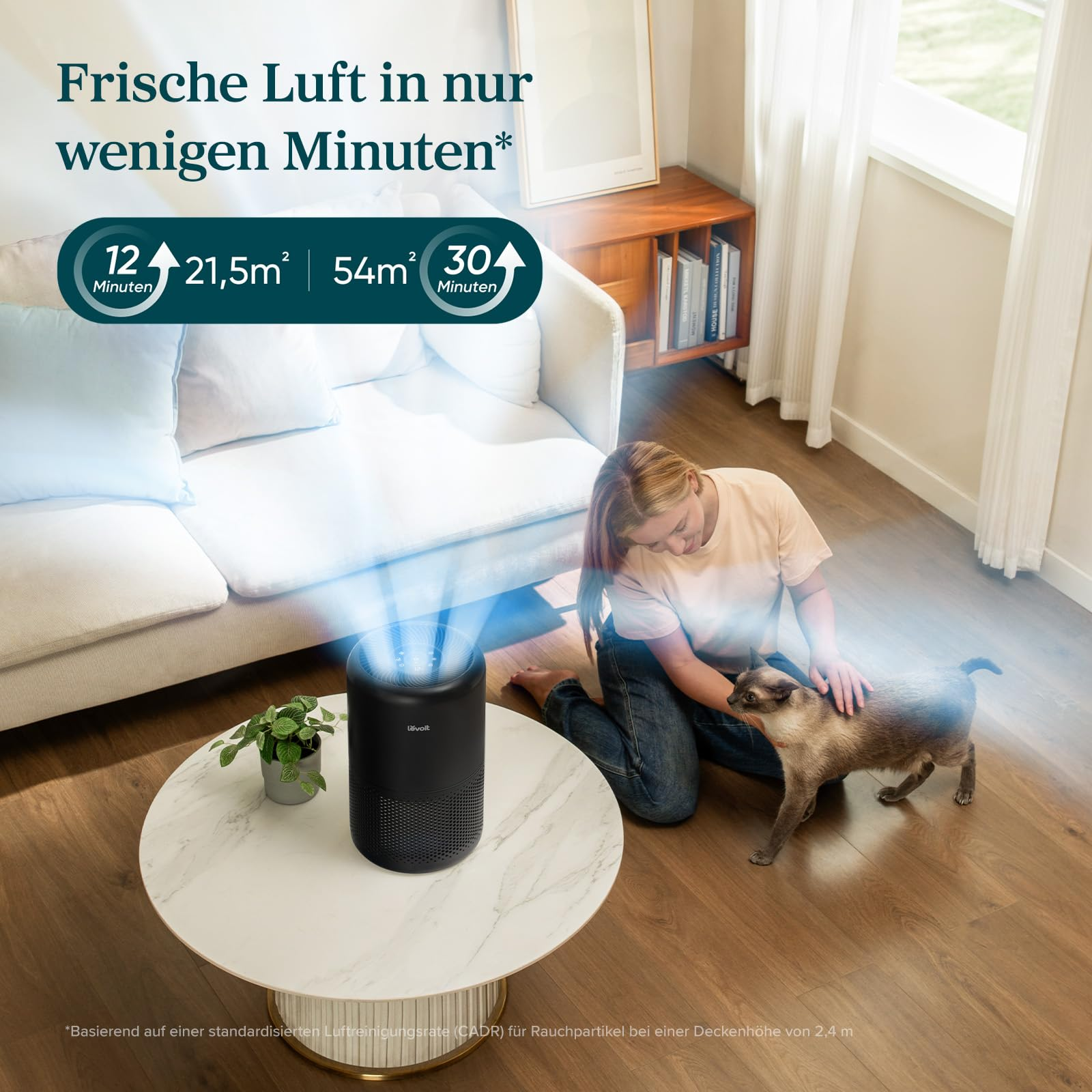 LEVOIT HEPA 258m³/h CADR Luftreiniger Schwarz (23 W)