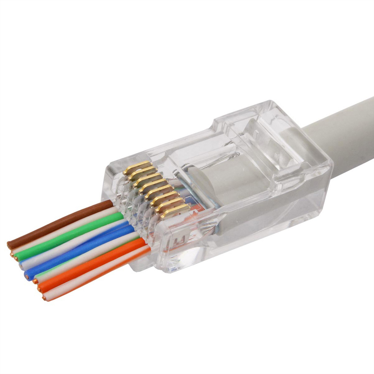 Ein transparenter RJ45-Stecker mit mehrfarbigen Kabeln auf weißem Hintergrund.